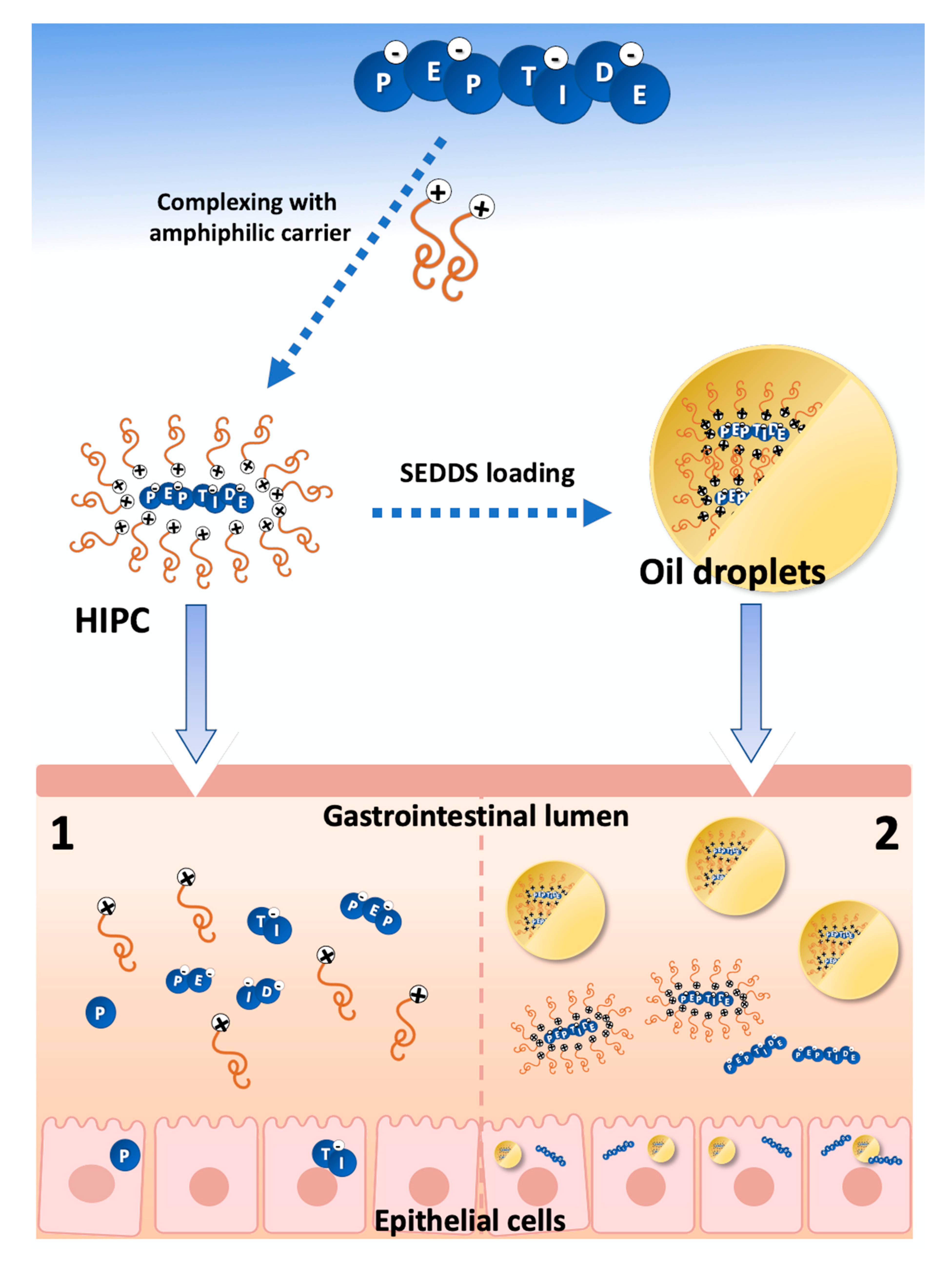 Pharmaceuticals 13 00442 g004 Pharmaceuticals 13 00442 g004