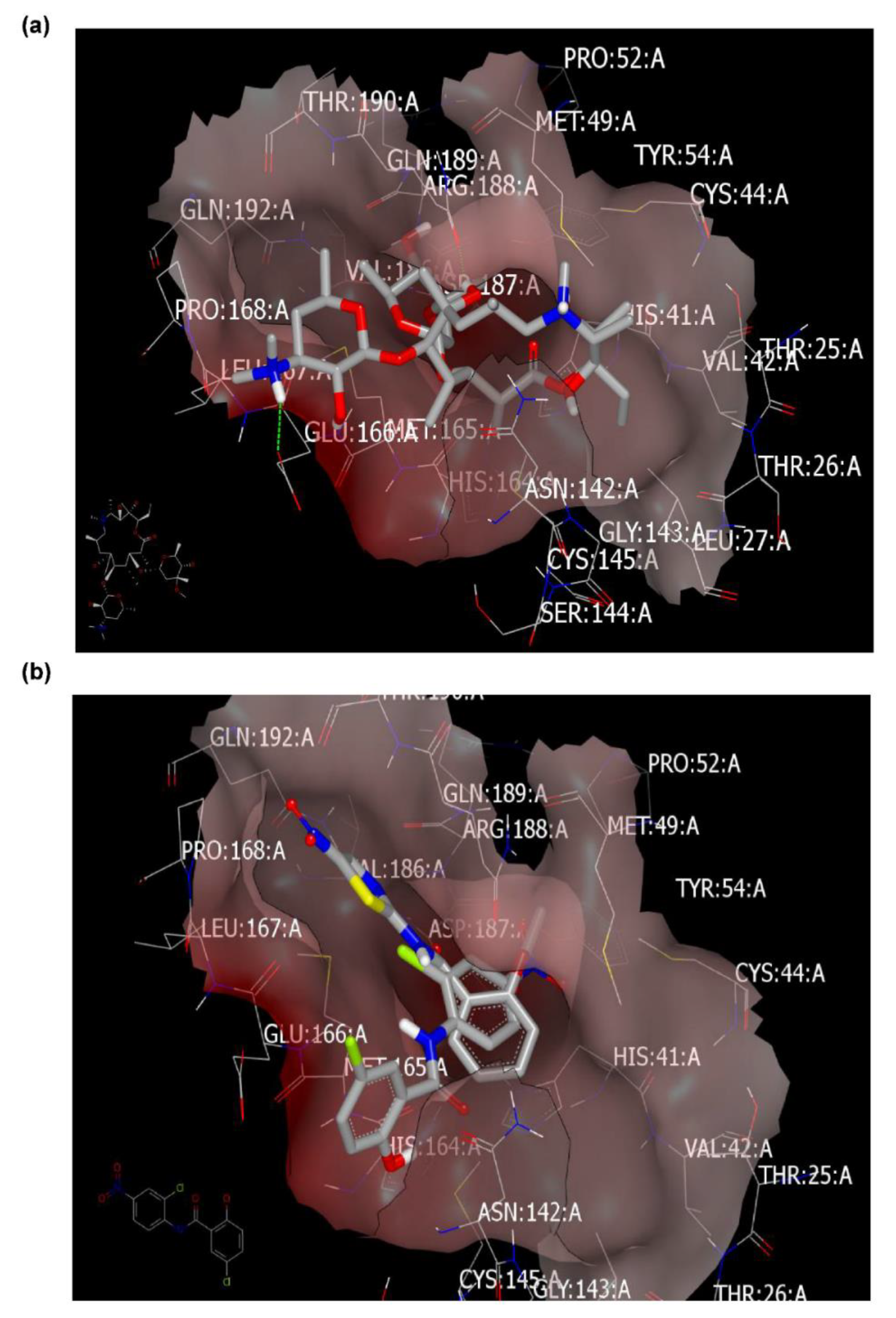 Pharmaceuticals 13 00443 g003 Pharmaceuticals 13 00443 g003