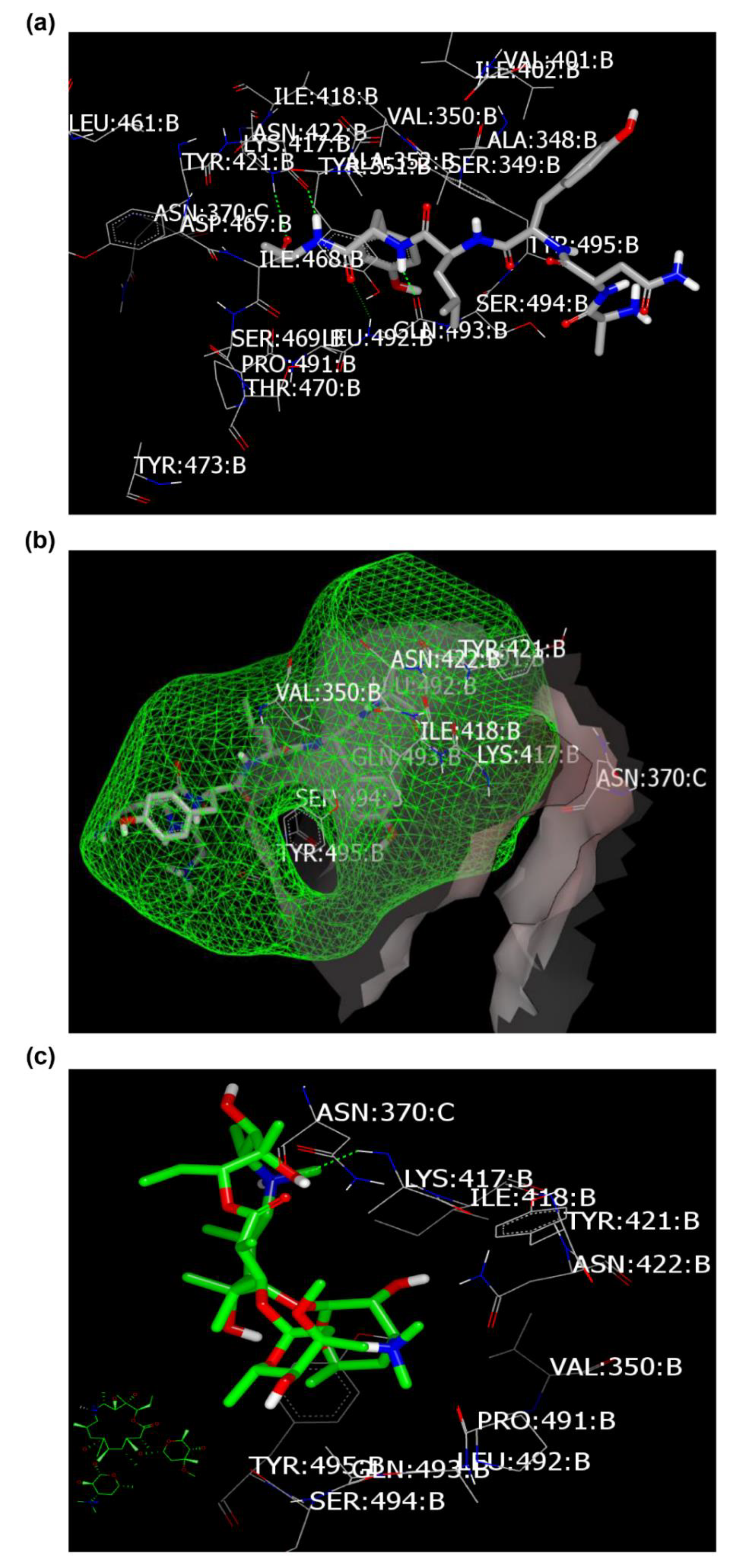Pharmaceuticals 13 00443 g004a Pharmaceuticals 13 00443 g004a