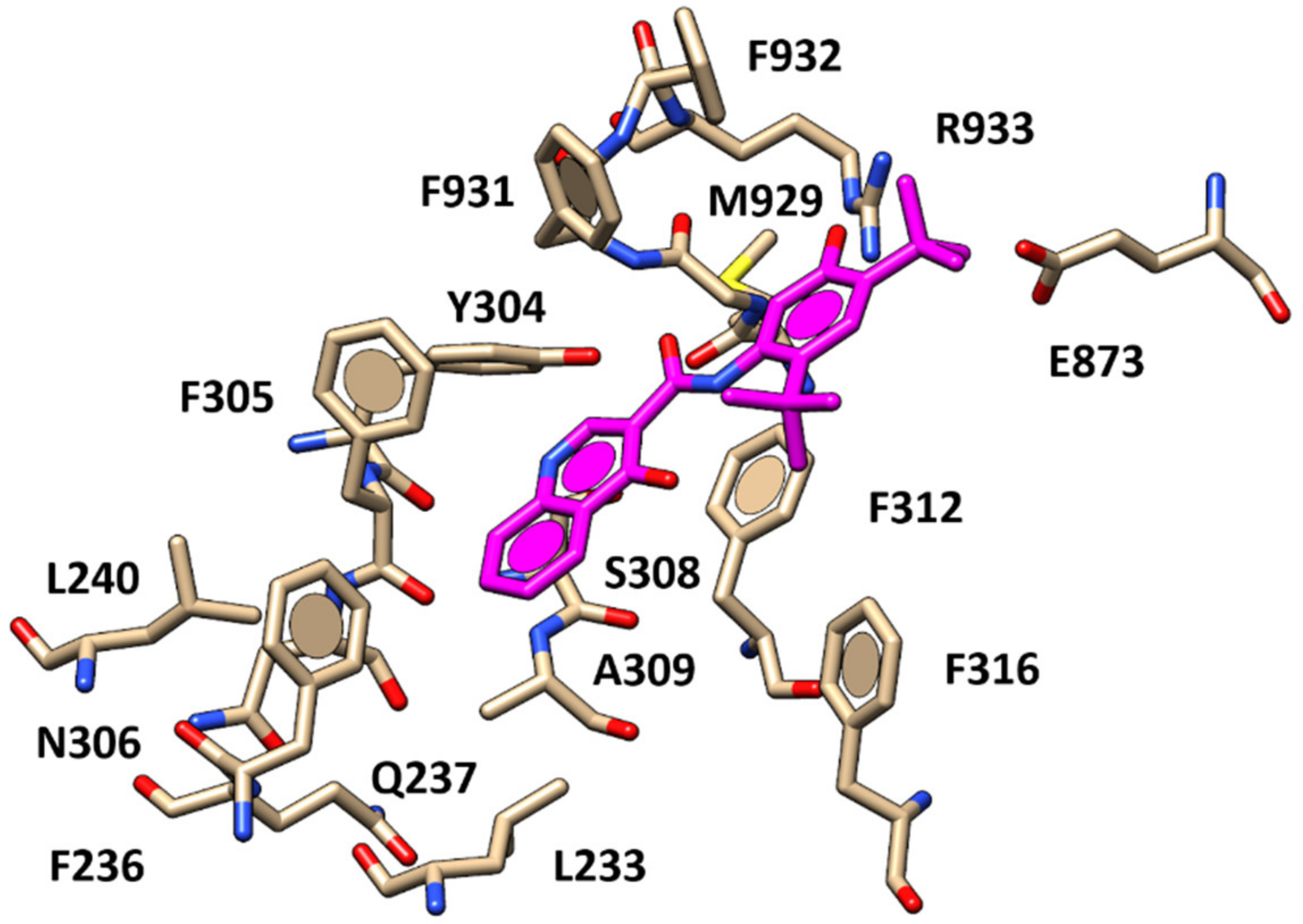 Pharmaceuticals 13 00445 g003 Pharmaceuticals 13 00445 g003