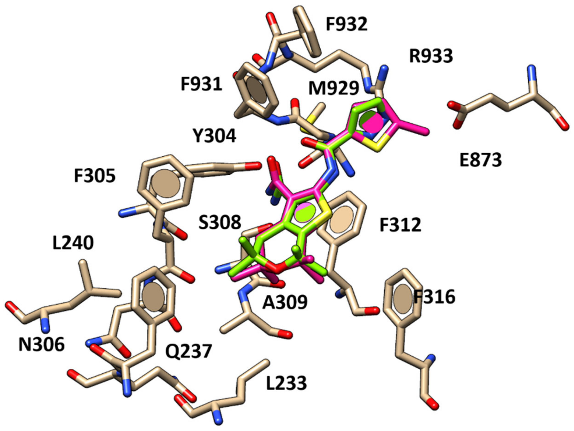 Pharmaceuticals 13 00445 g006 Pharmaceuticals 13 00445 g006