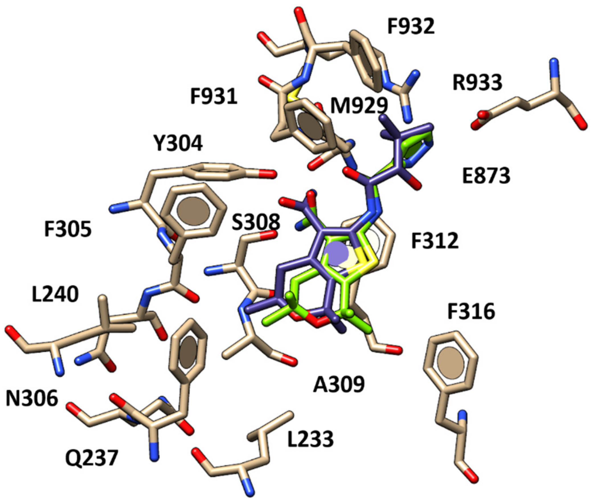 Pharmaceuticals 13 00445 g007 Pharmaceuticals 13 00445 g007