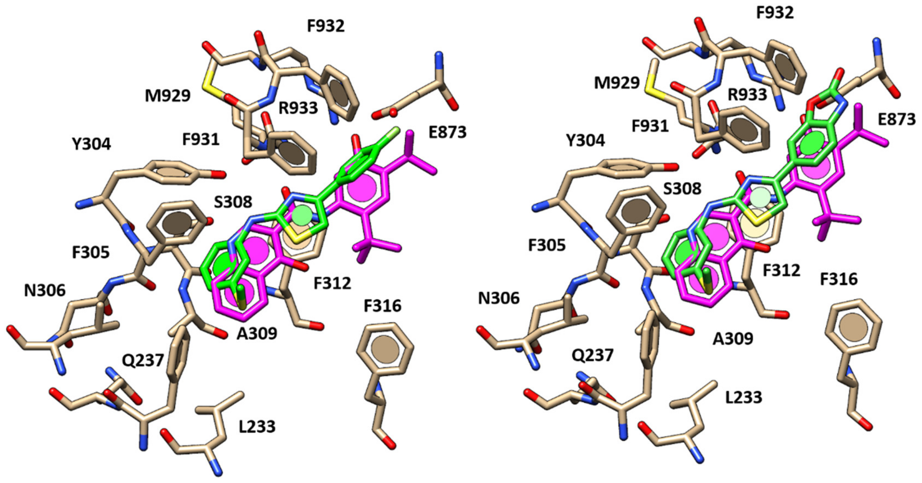 Pharmaceuticals 13 00445 g011 Pharmaceuticals 13 00445 g011