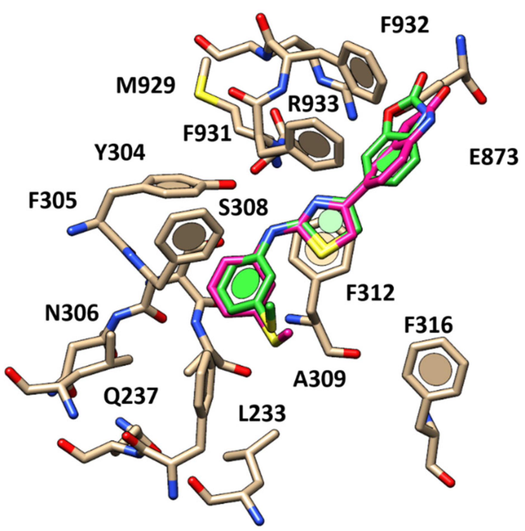 Pharmaceuticals 13 00445 g012 Pharmaceuticals 13 00445 g012