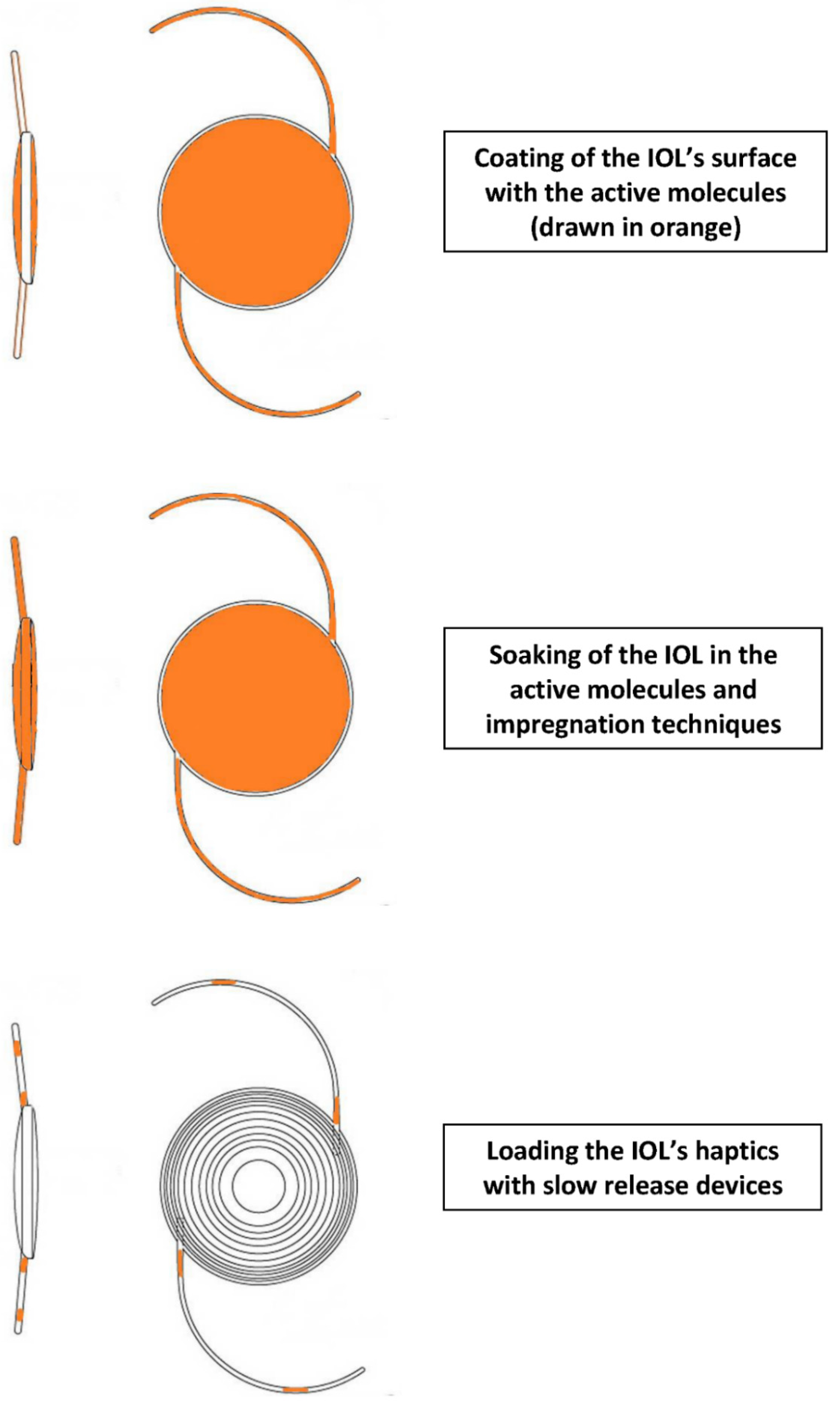 Pharmaceuticals 13 00448 g001