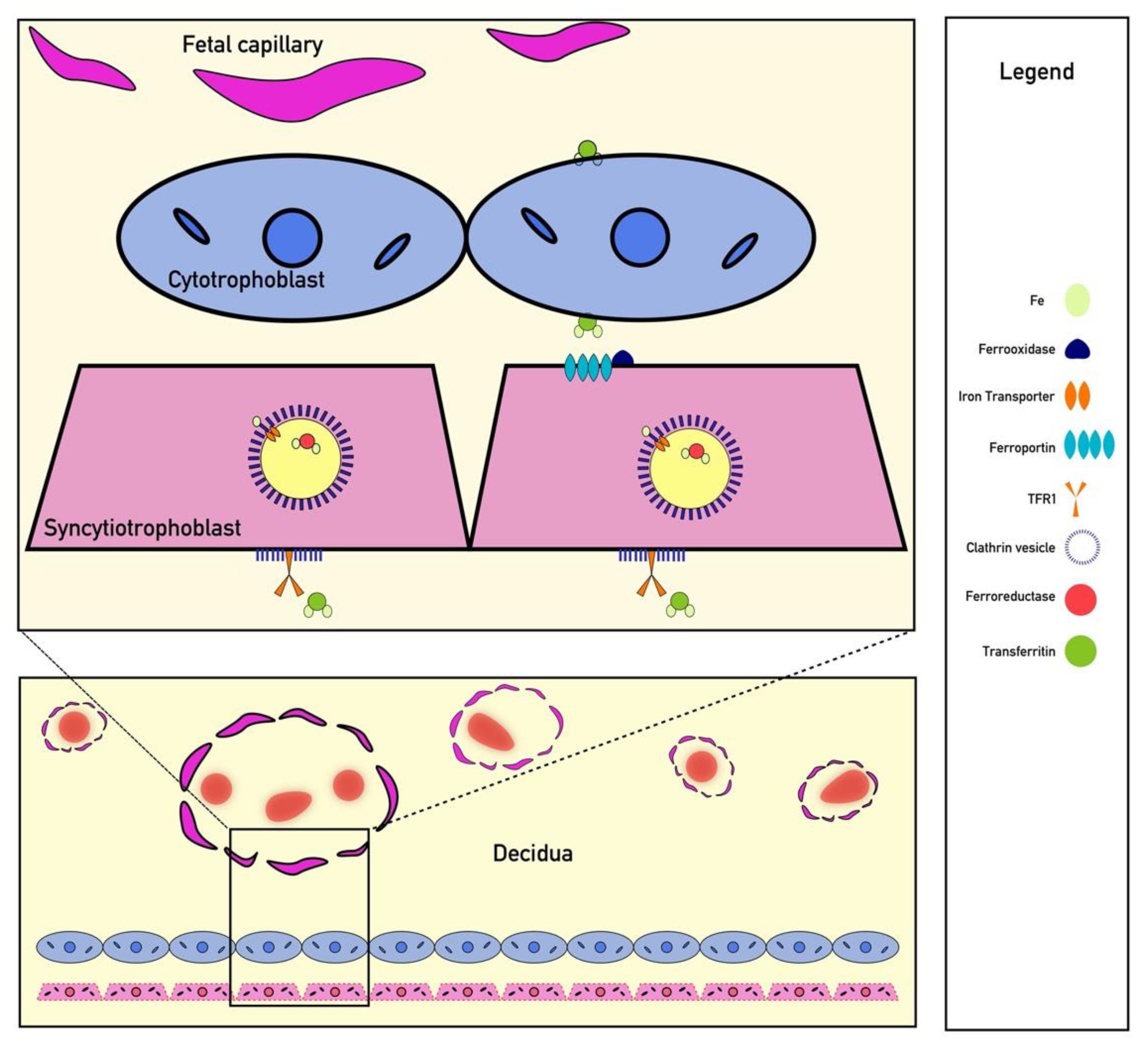 Pharmaceuticals 13 00449 g002 Pharmaceuticals 13 00449 g002