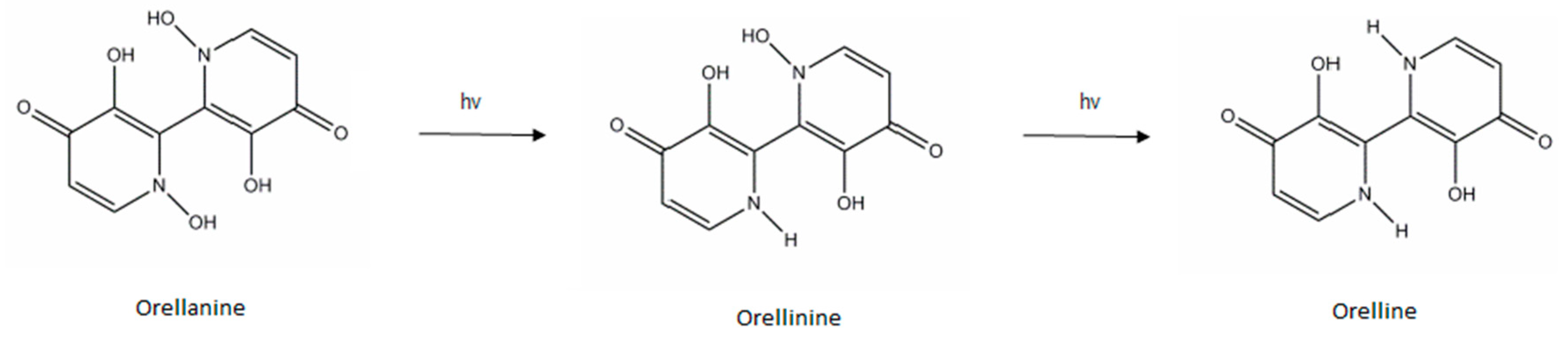 Pharmaceuticals 13 00454 g001