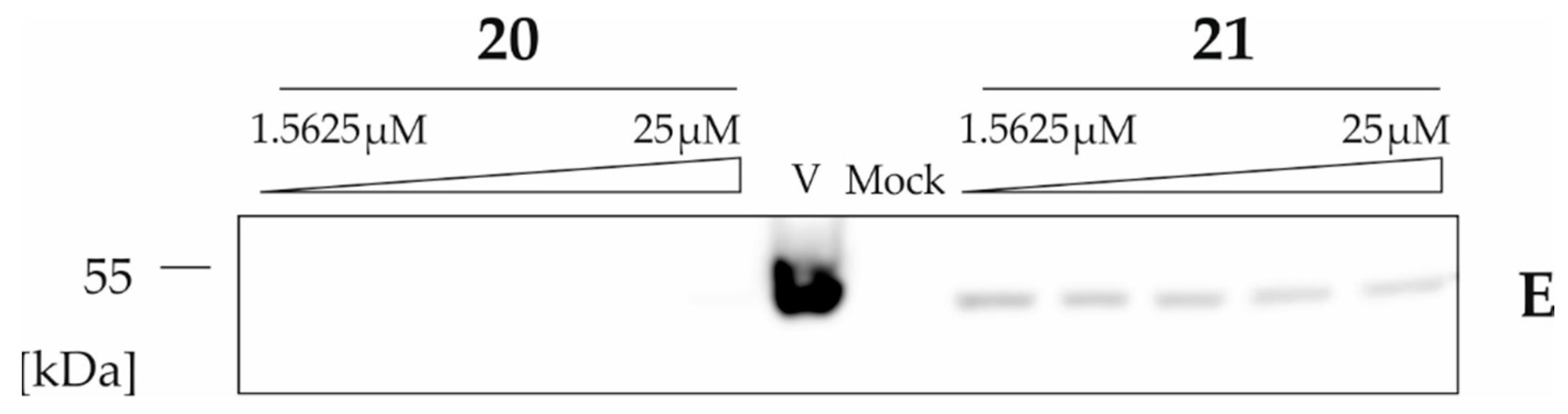 Pharmaceuticals 13 00460 g006