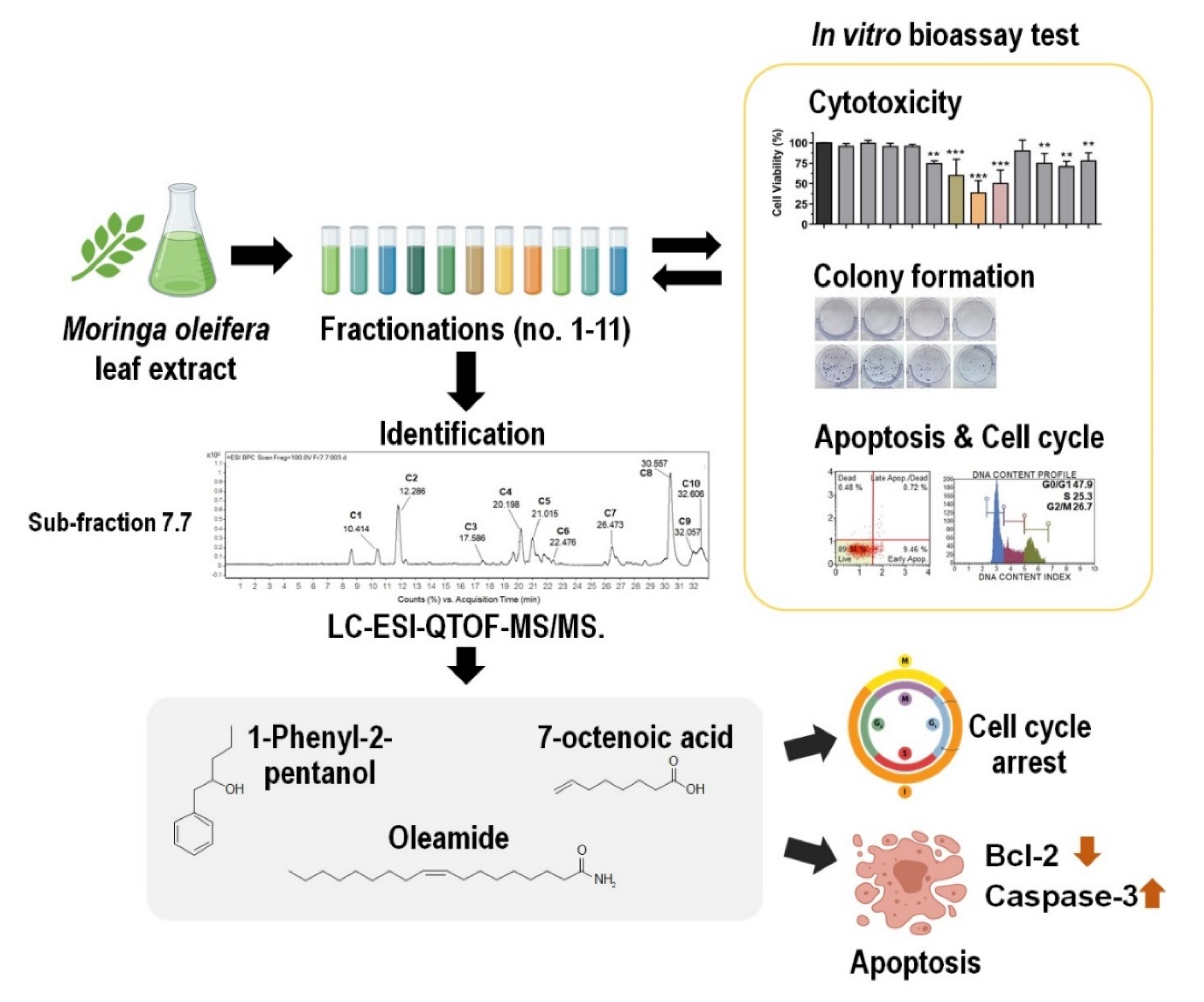 Pharmaceuticals 13 00464 g007 Pharmaceuticals 13 00464 g007