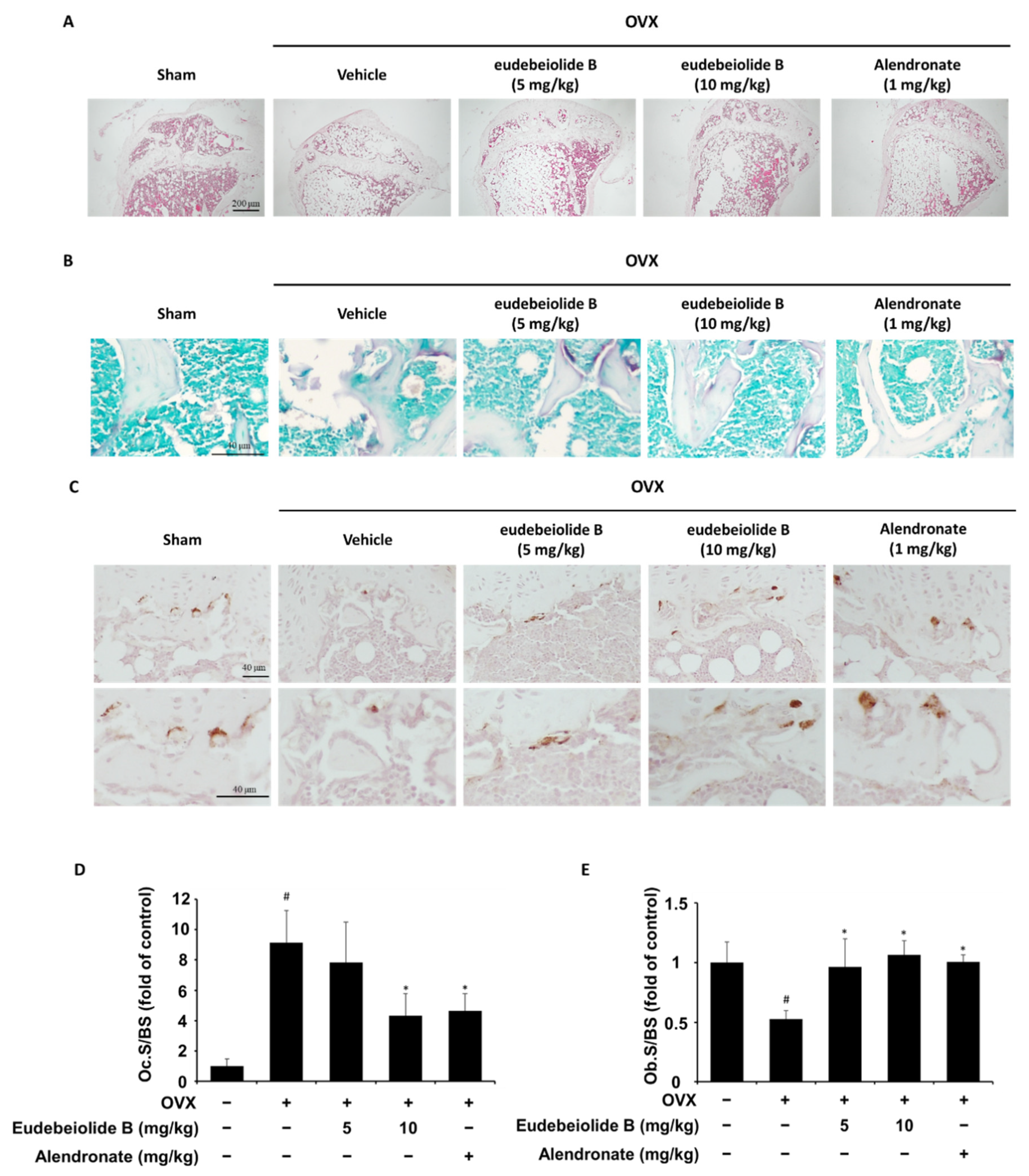 Pharmaceuticals 13 00468 g007