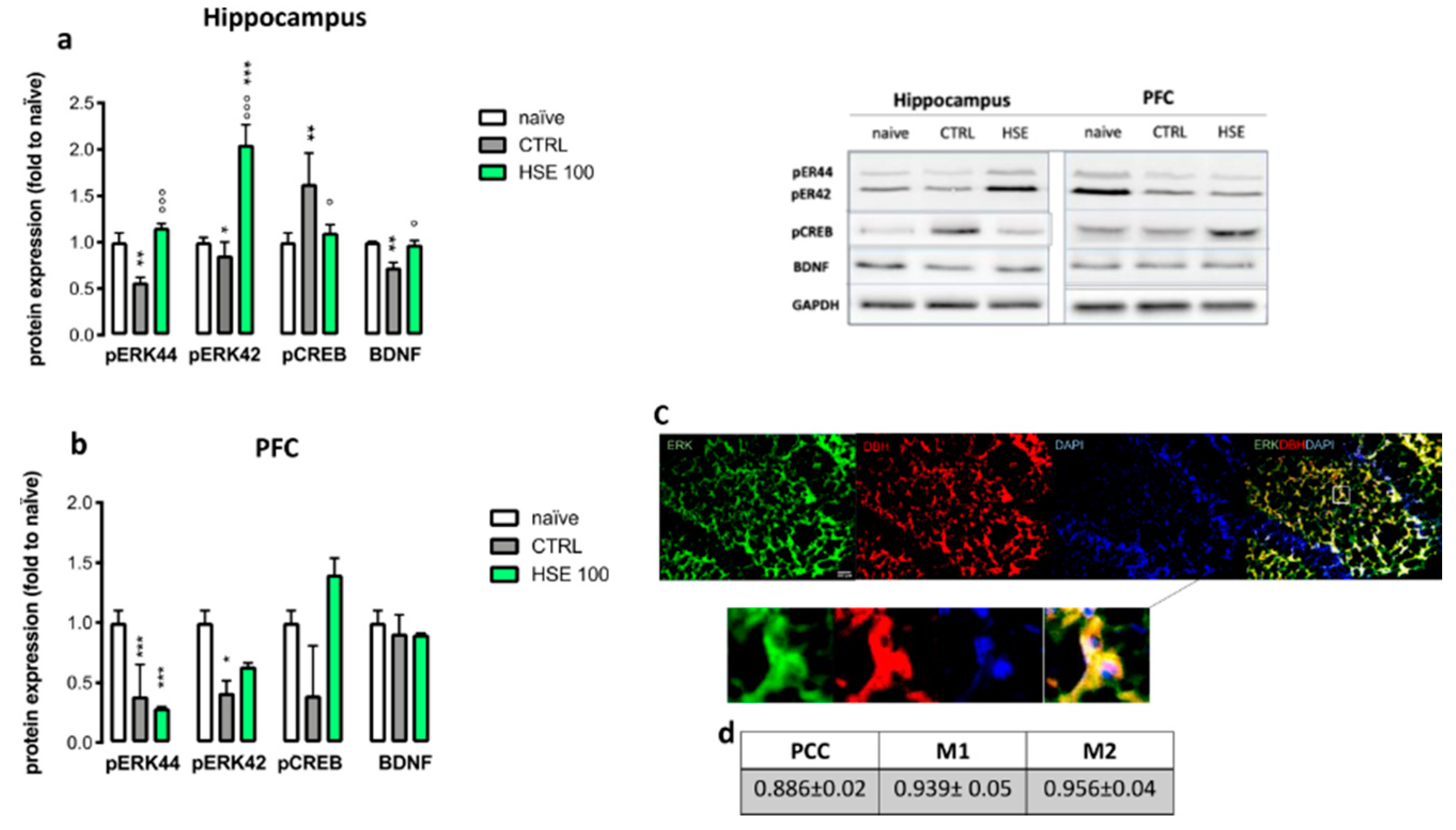 Pharmaceuticals 13 00472 g005