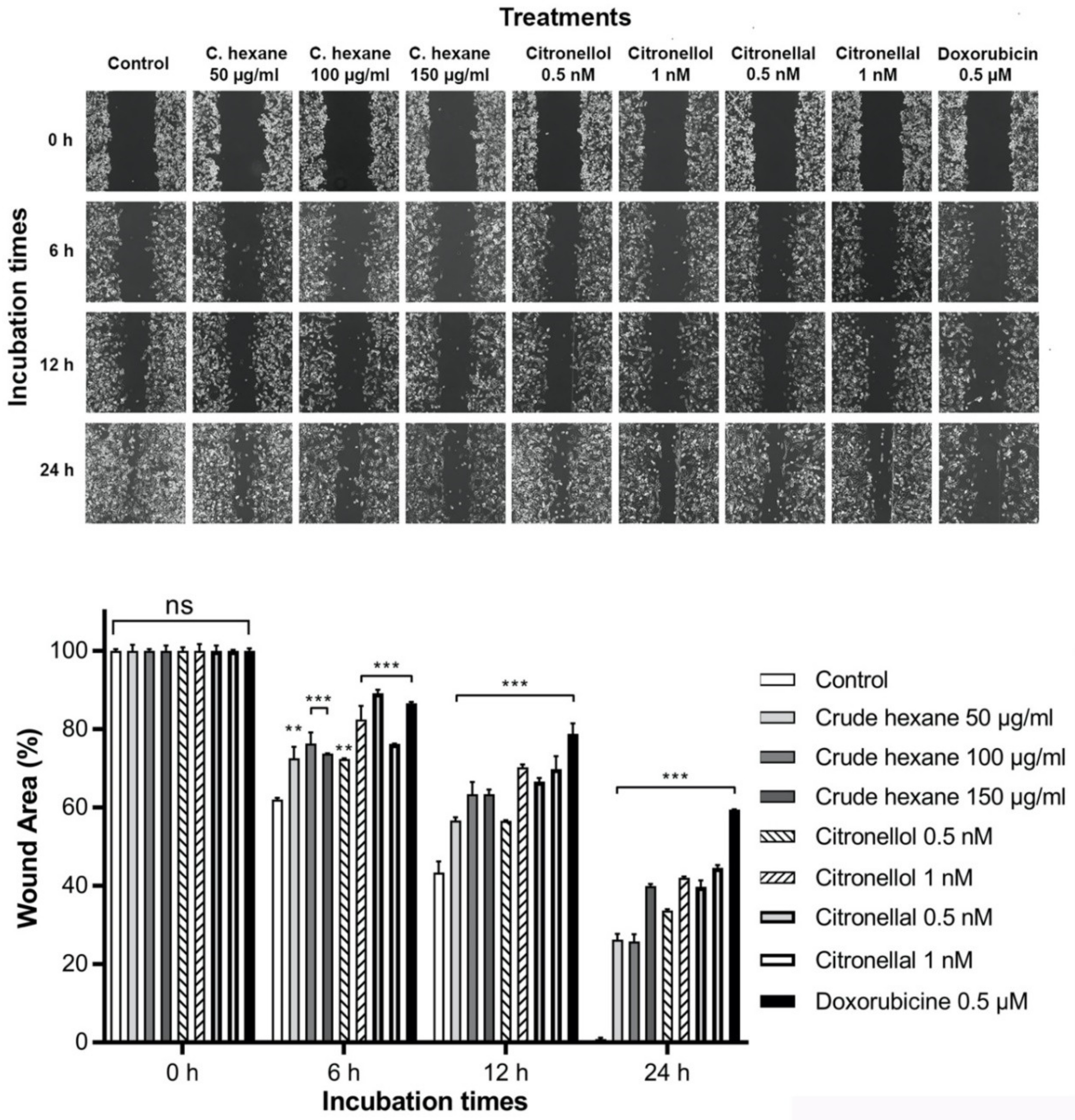 Pharmaceuticals 13 00476 g003 Pharmaceuticals 13 00476 g003