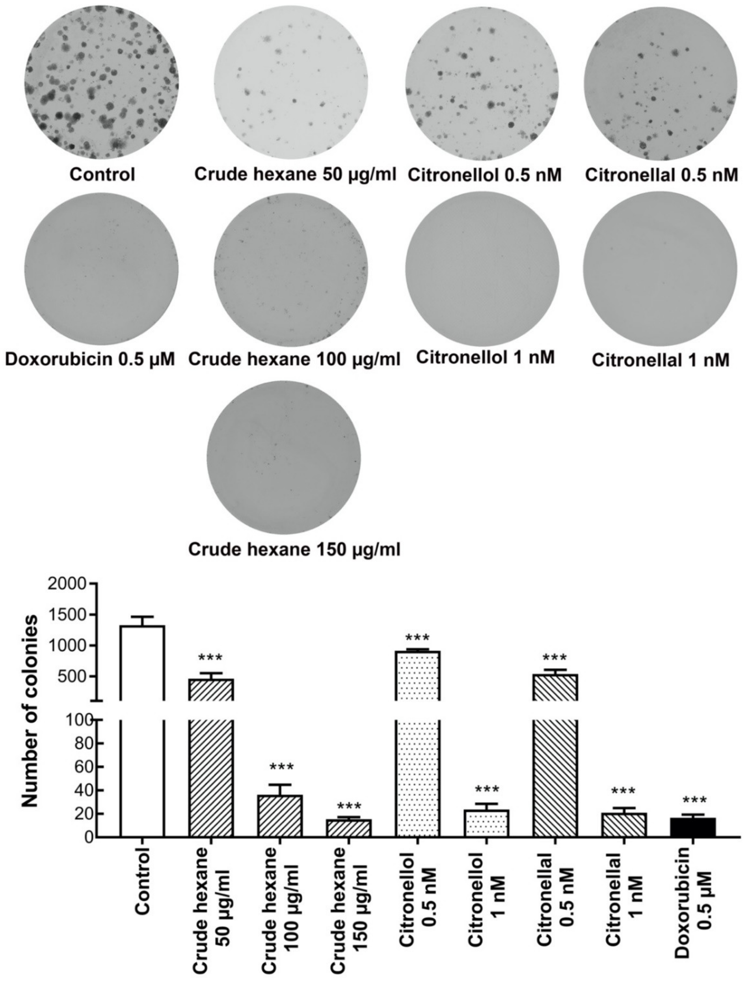Pharmaceuticals 13 00476 g004 Pharmaceuticals 13 00476 g004