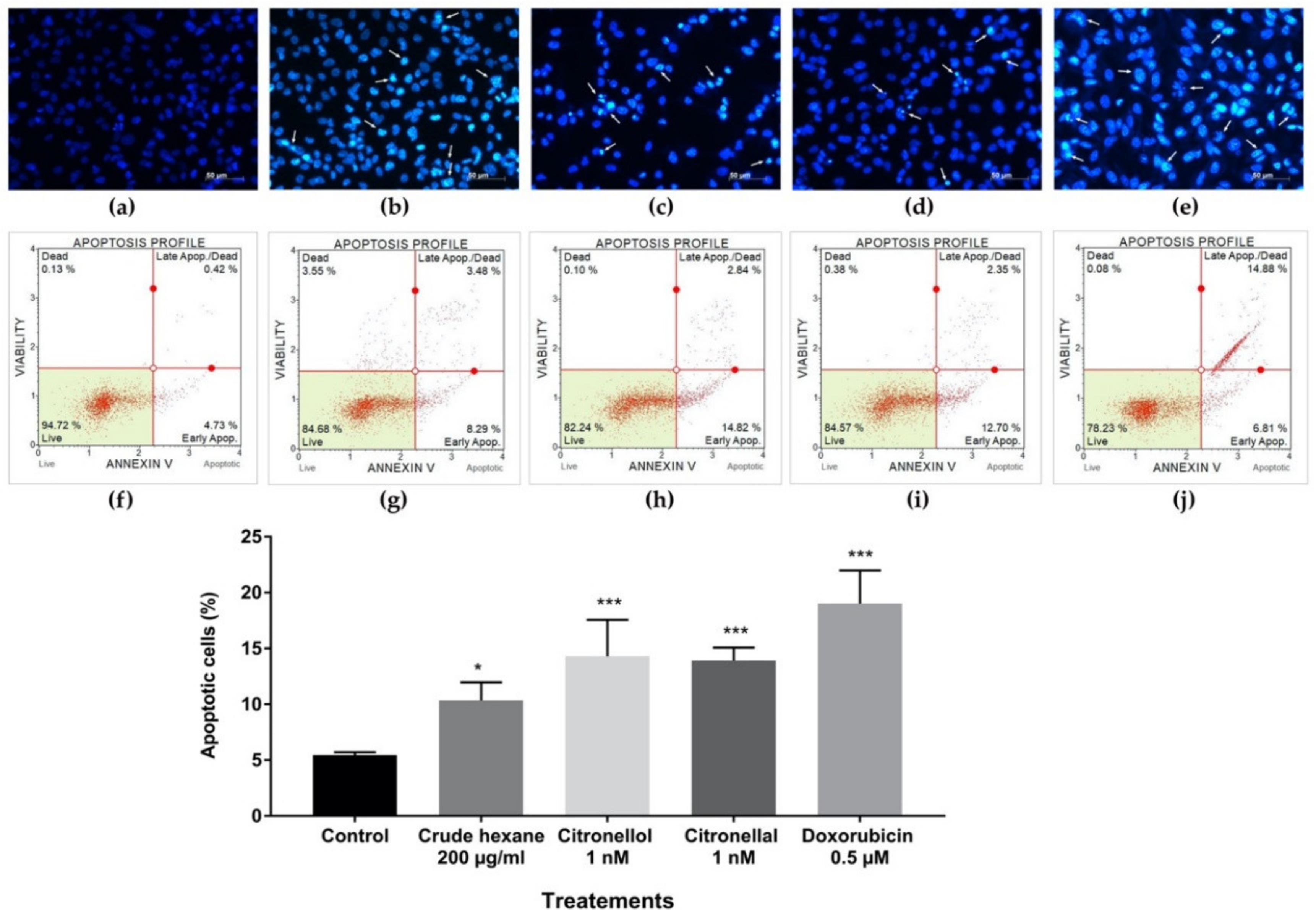 Pharmaceuticals 13 00476 g006 Pharmaceuticals 13 00476 g006