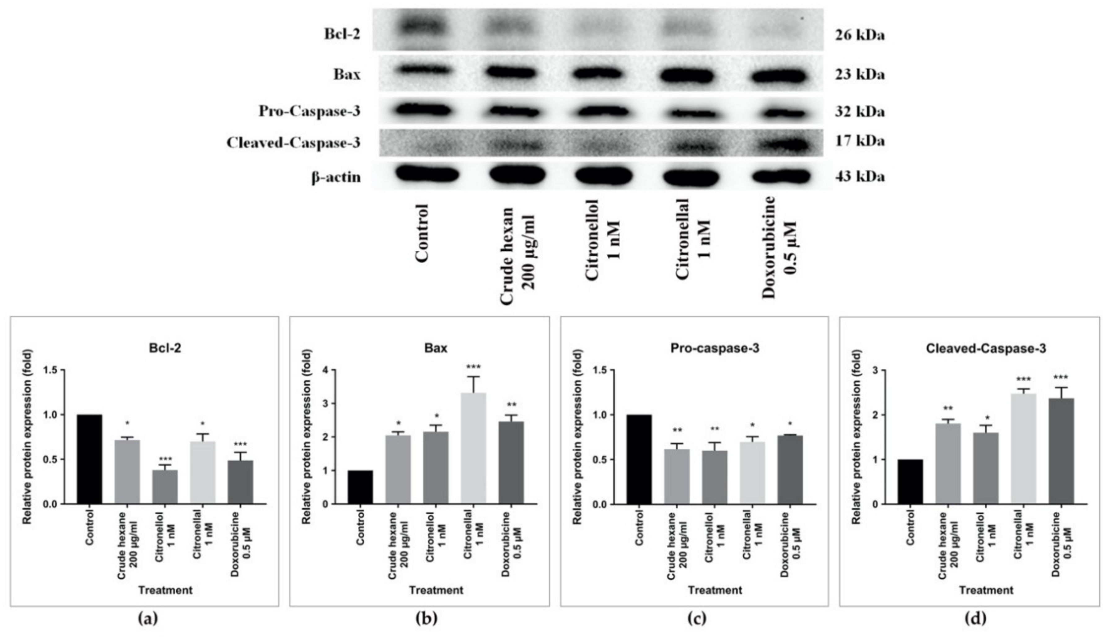 Pharmaceuticals 13 00476 g008 Pharmaceuticals 13 00476 g008