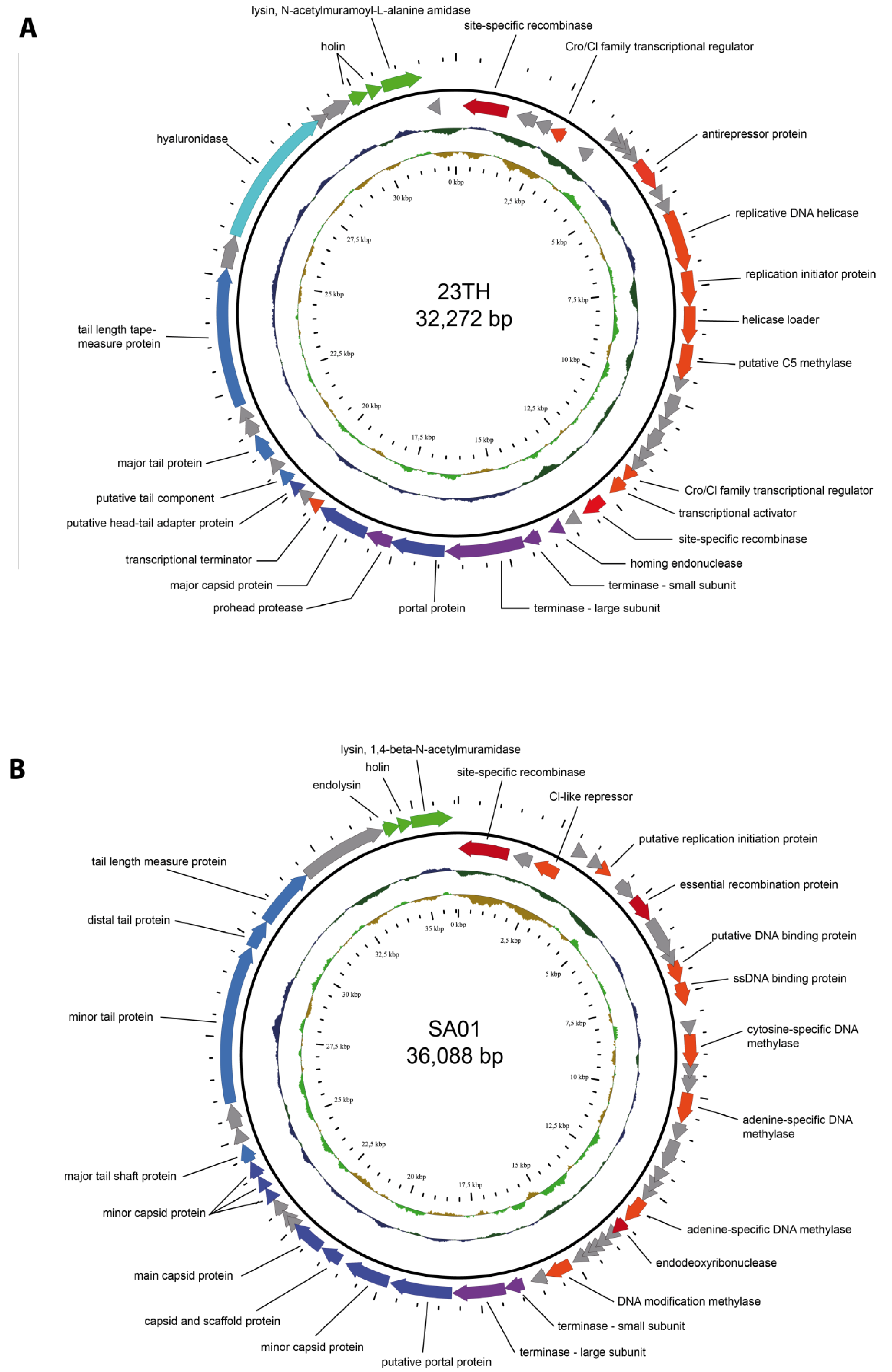 Pharmaceuticals 13 00478 g002 Pharmaceuticals 13 00478 g002