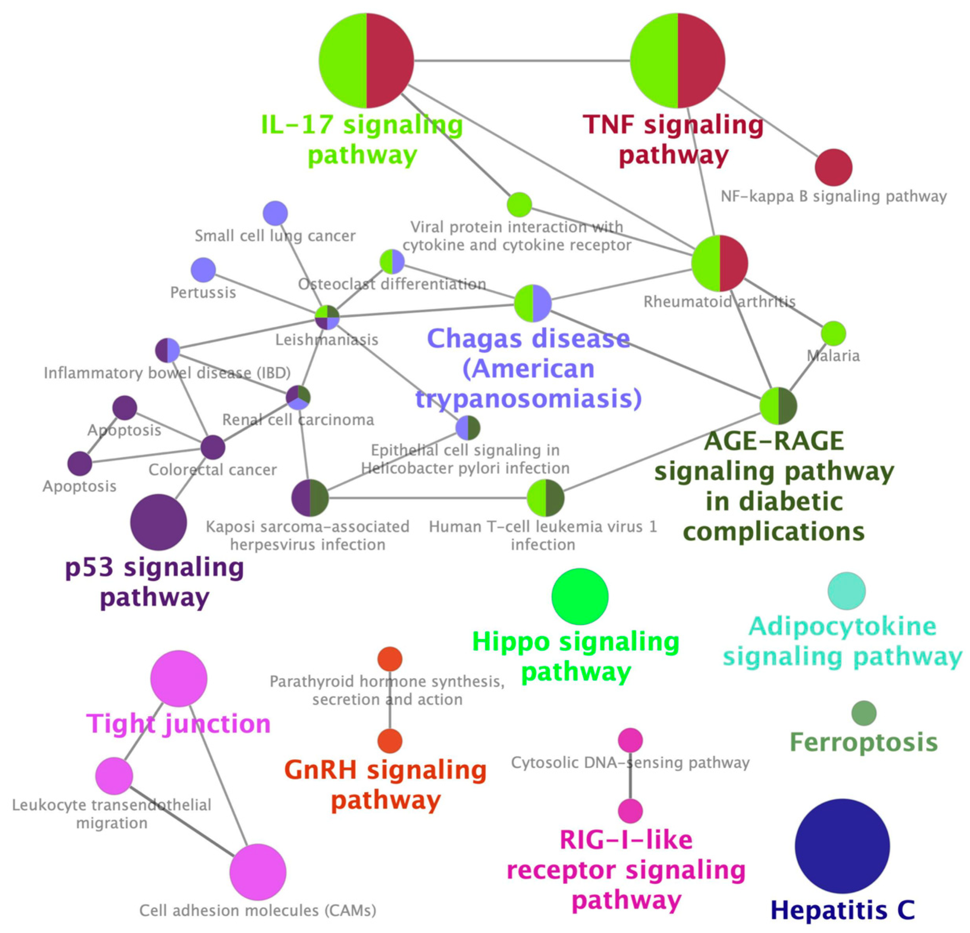 Pharmaceuticals 13 00480 g002