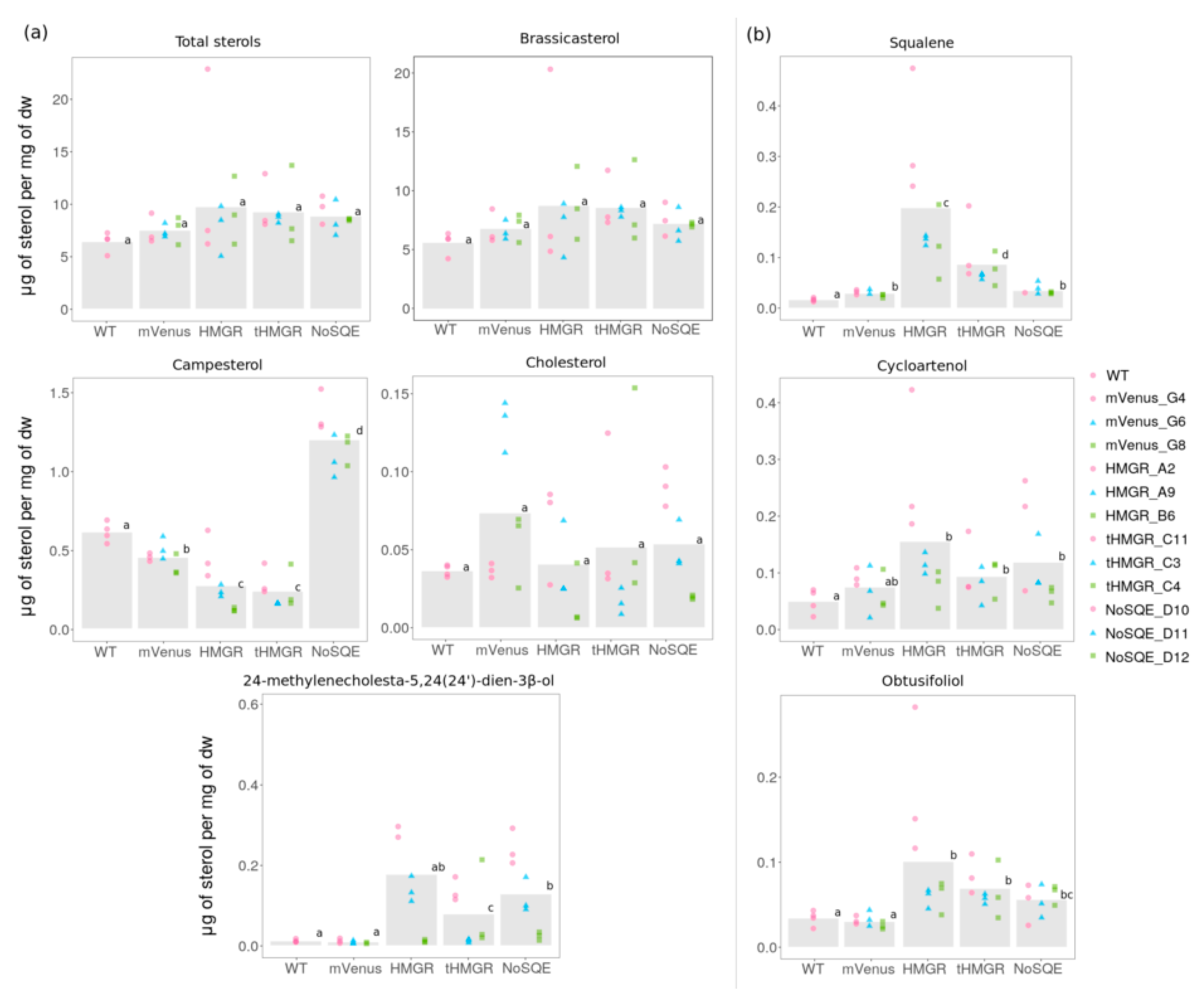 Pharmaceuticals 13 00481 g004