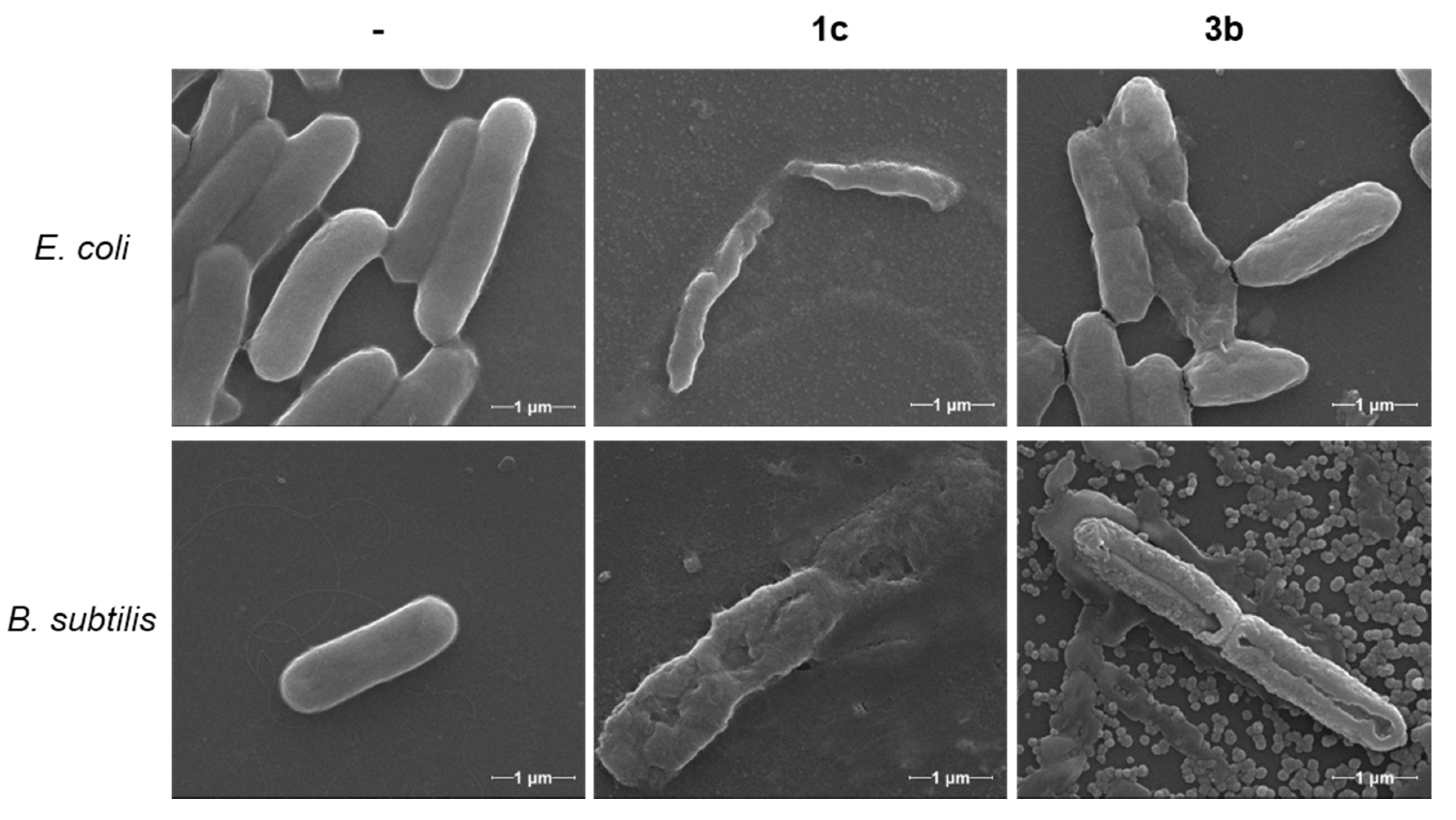Pharmaceuticals 13 00482 g002 Pharmaceuticals 13 00482 g002