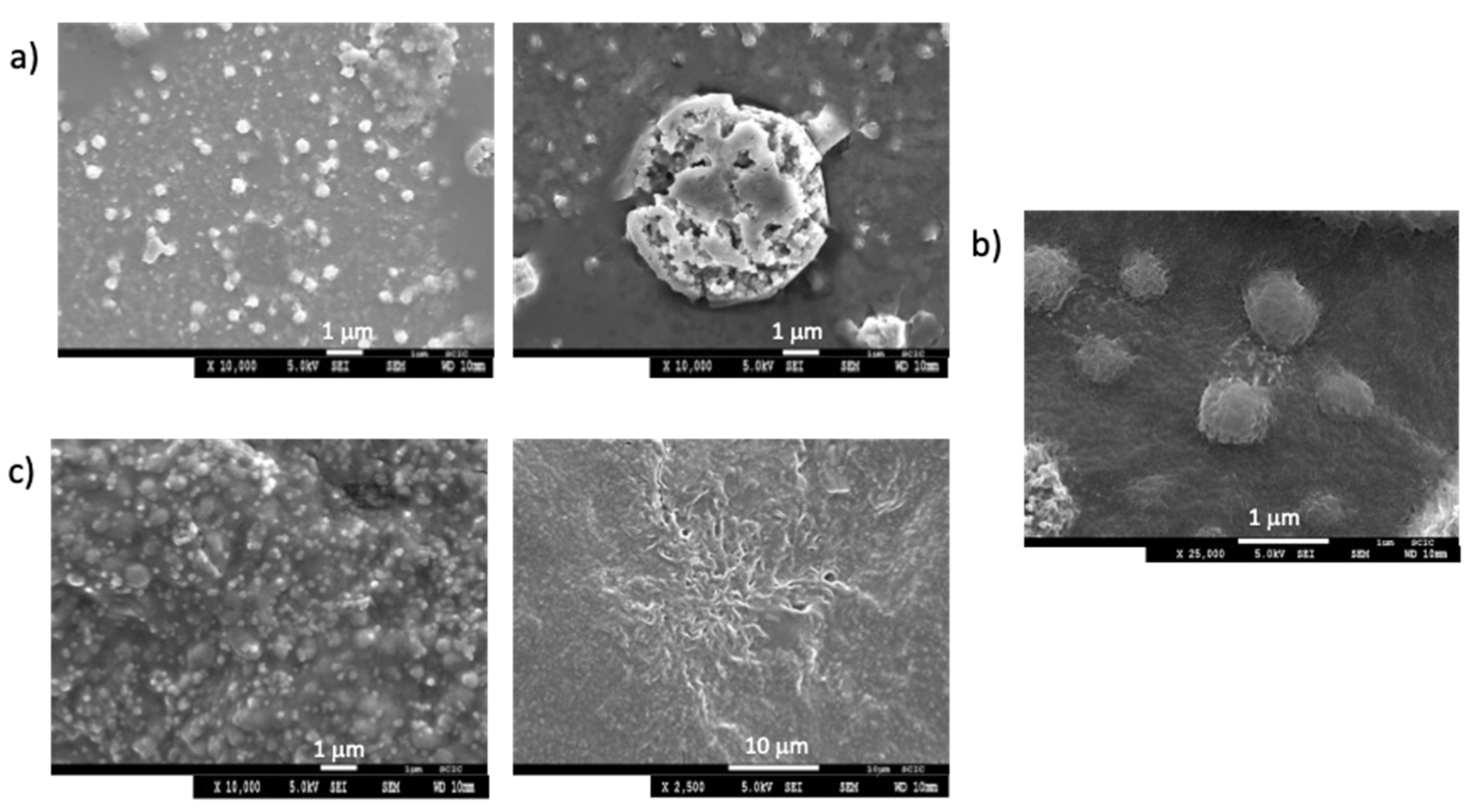 Pharmaceuticals 13 00482 g004 Pharmaceuticals 13 00482 g004