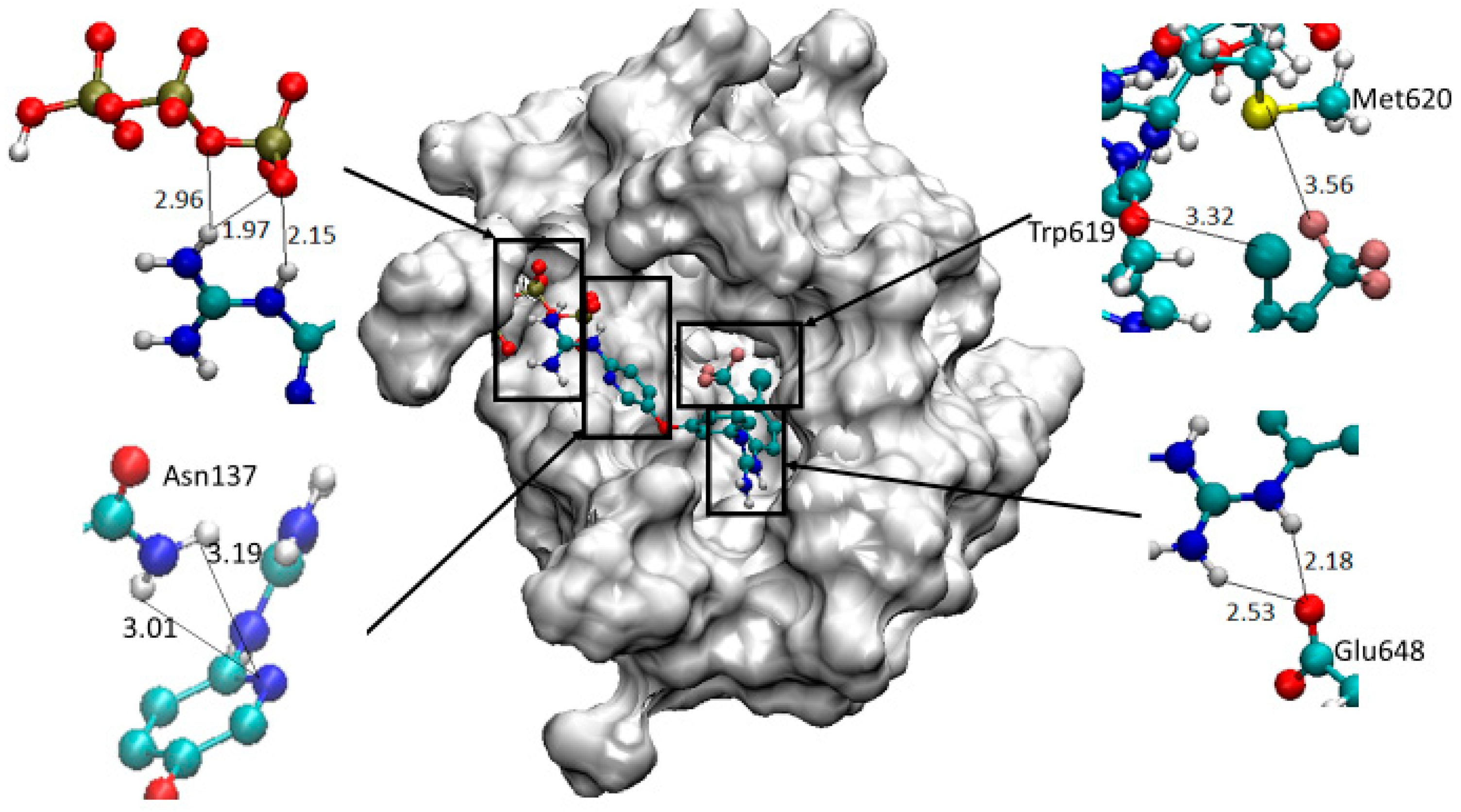 Pharmaceuticals 13 00485 g003