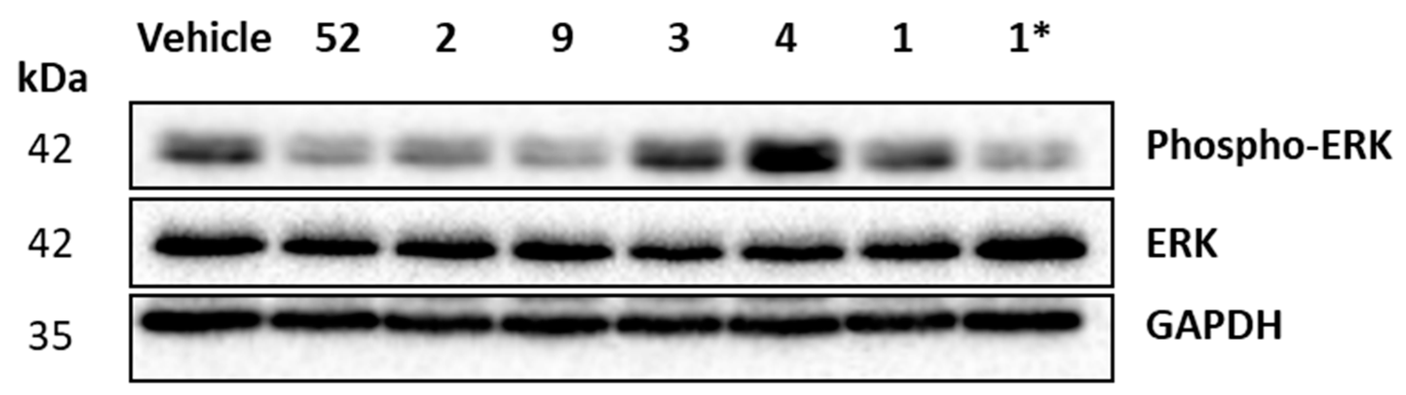 Pharmaceuticals 13 00485 g006