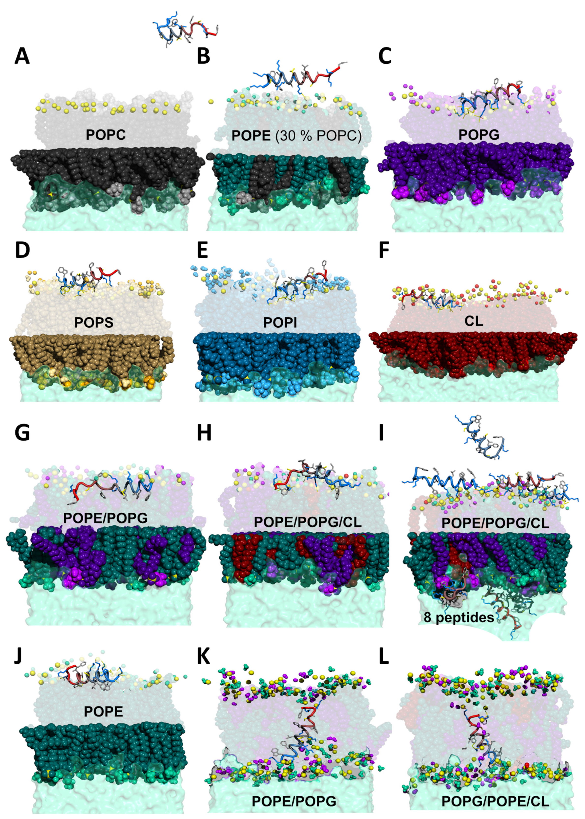 Pharmaceuticals 14 00001 g004