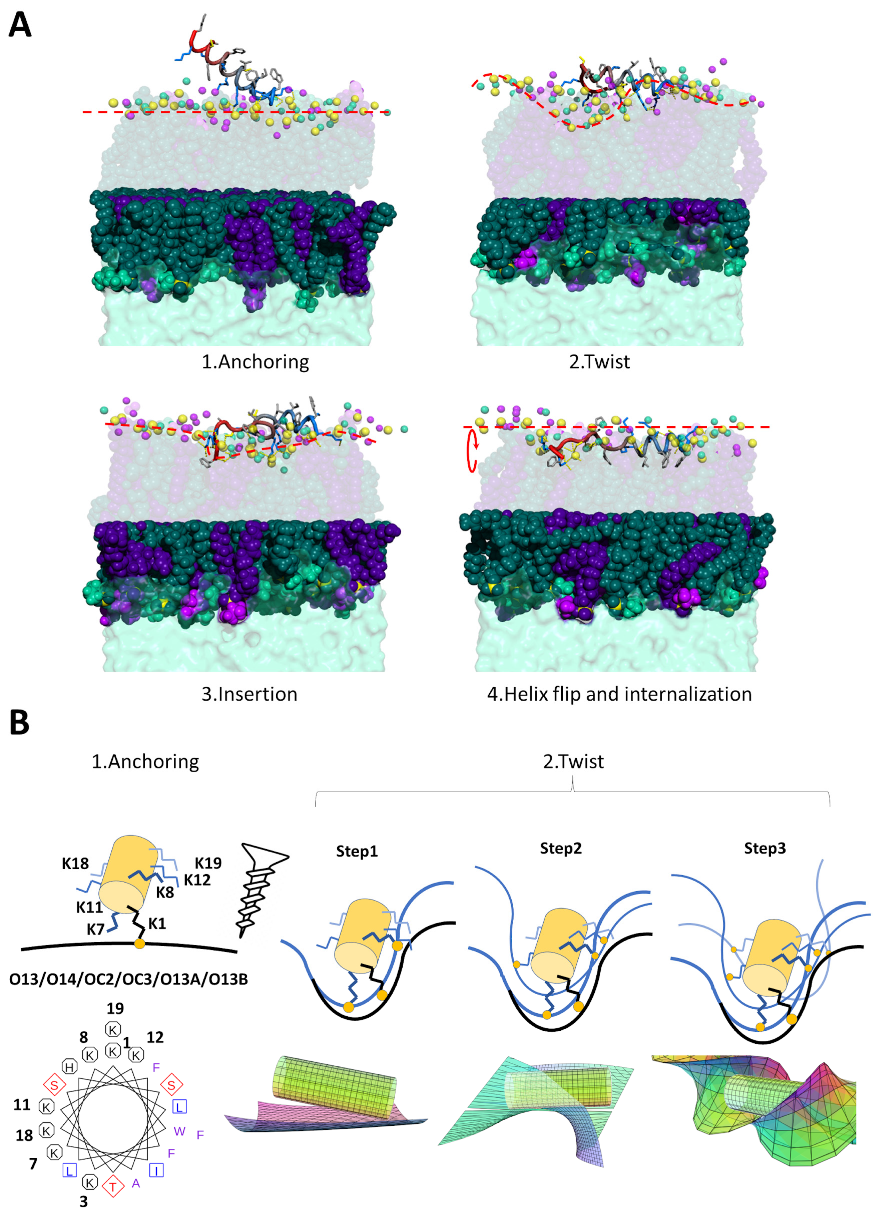 Pharmaceuticals 14 00001 g005
