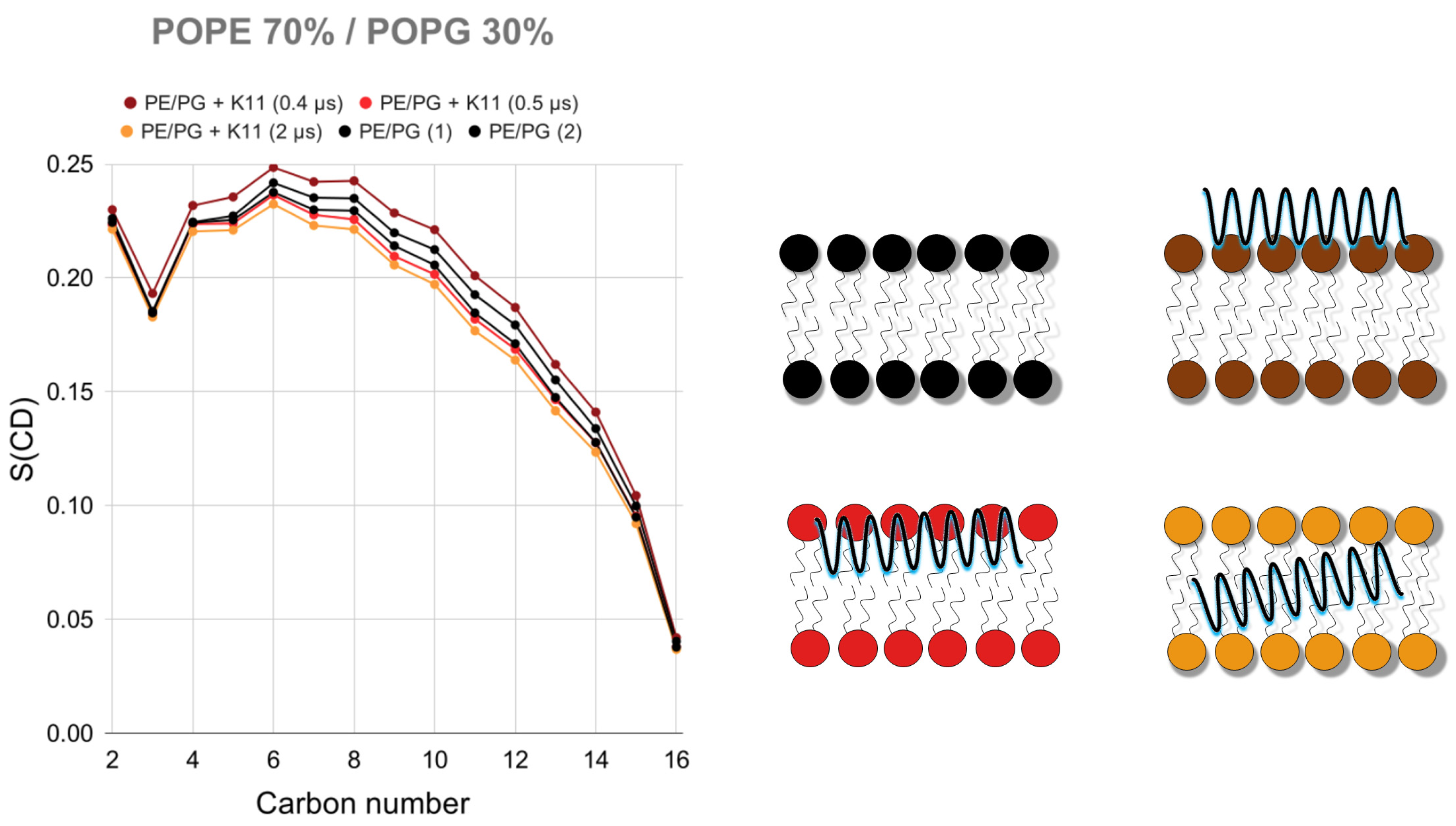 Pharmaceuticals 14 00001 g006