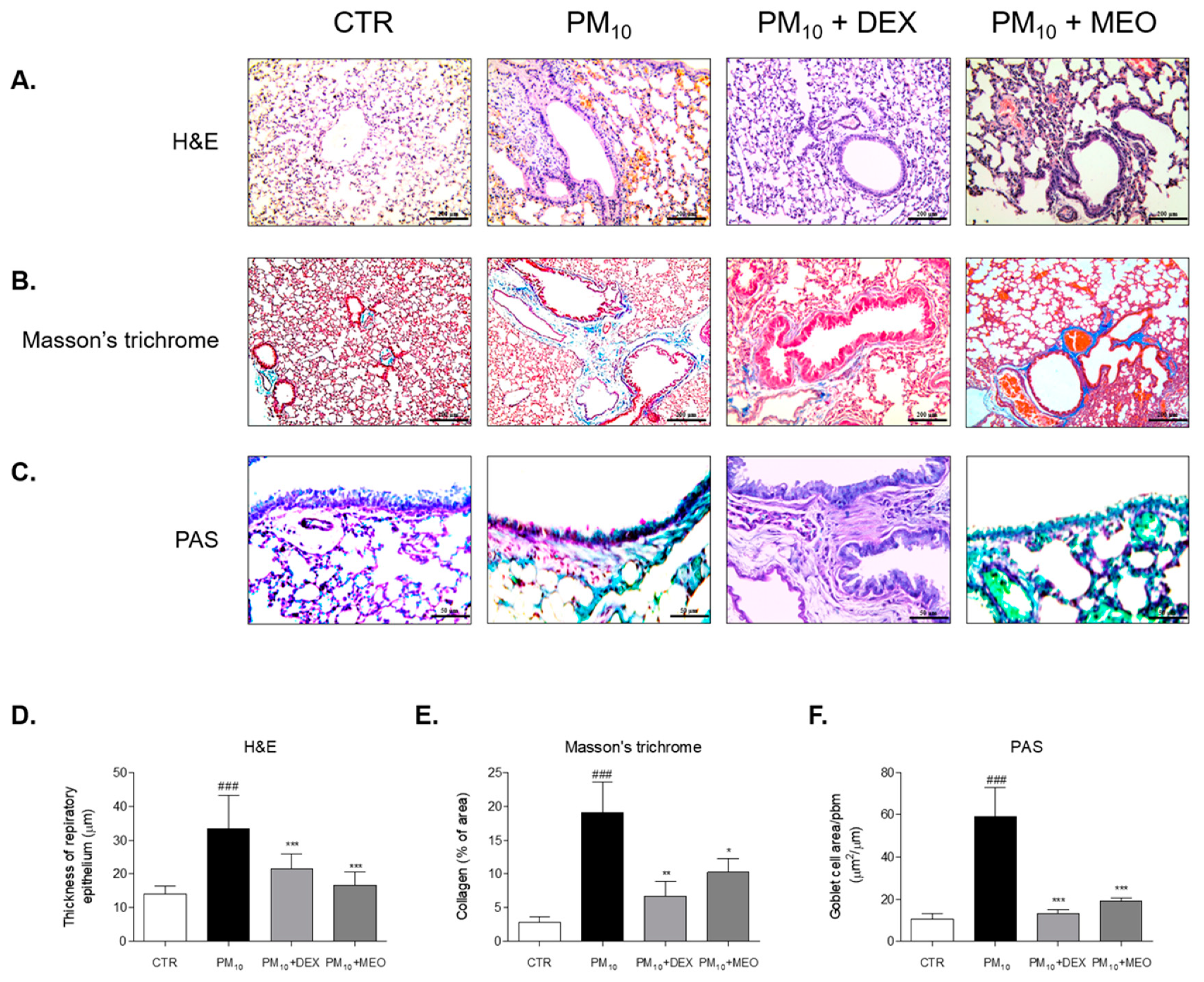 Pharmaceuticals 14 00002 g003