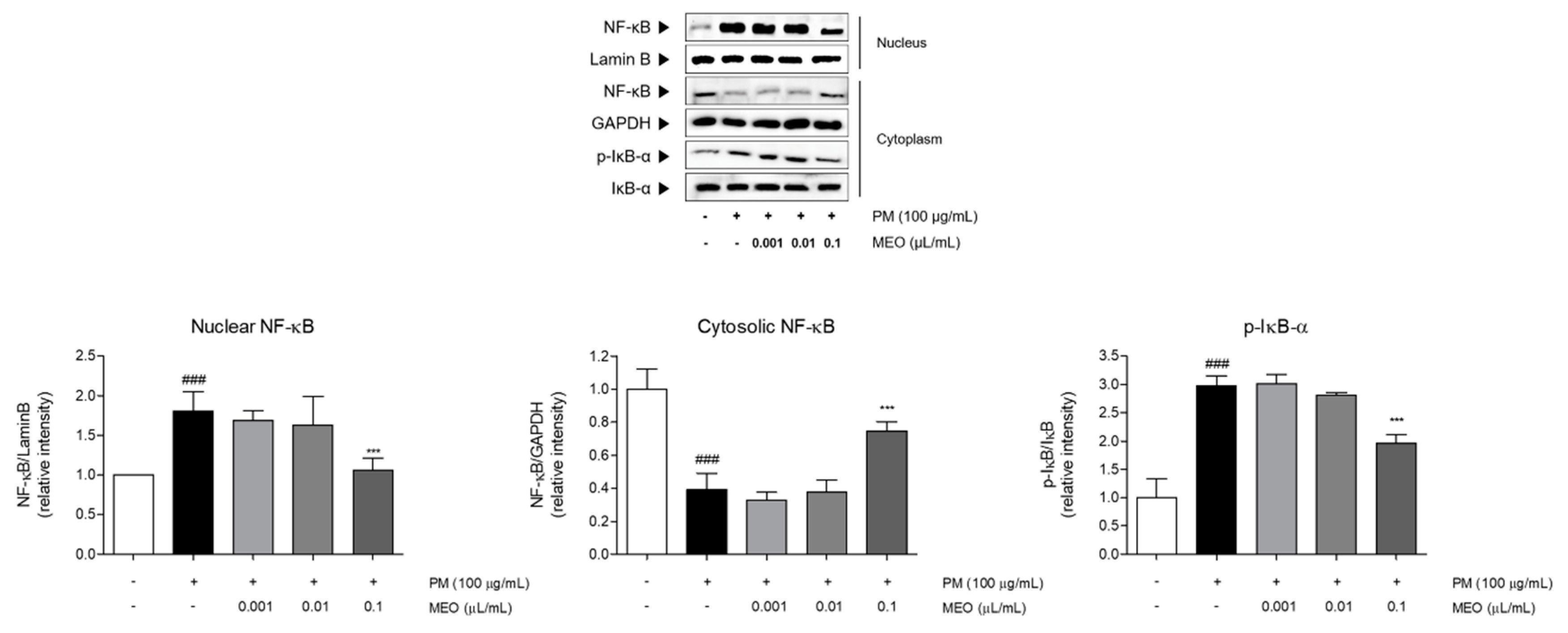 Pharmaceuticals 14 00002 g006