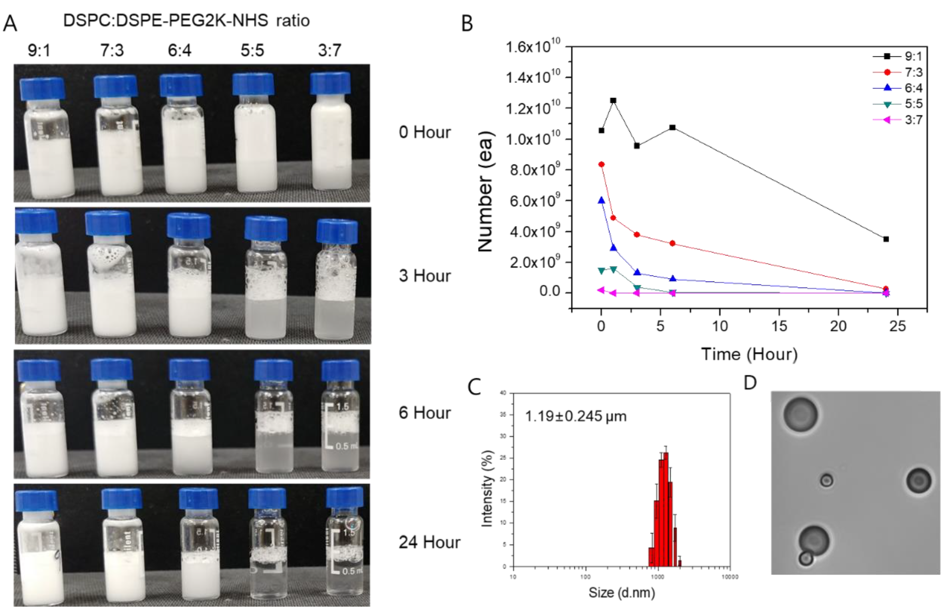 Pharmaceuticals 14 00006 g001