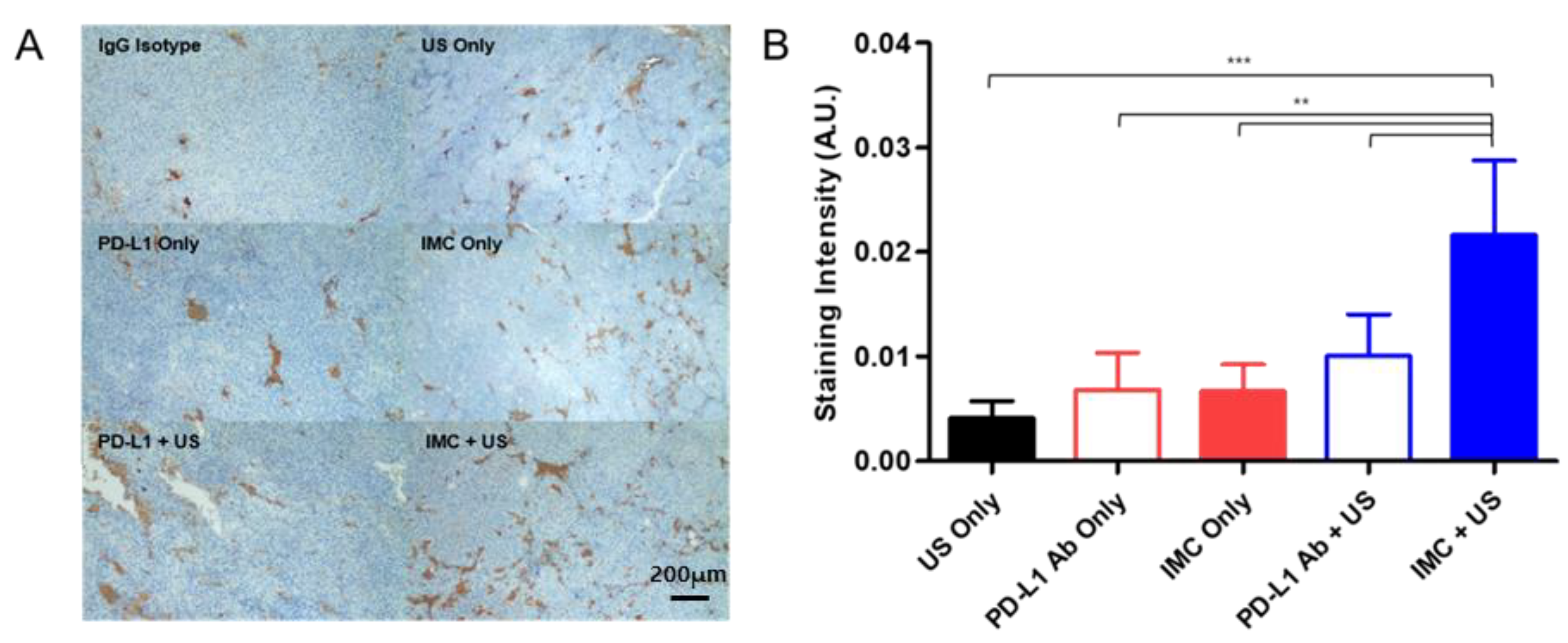 Pharmaceuticals 14 00006 g006
