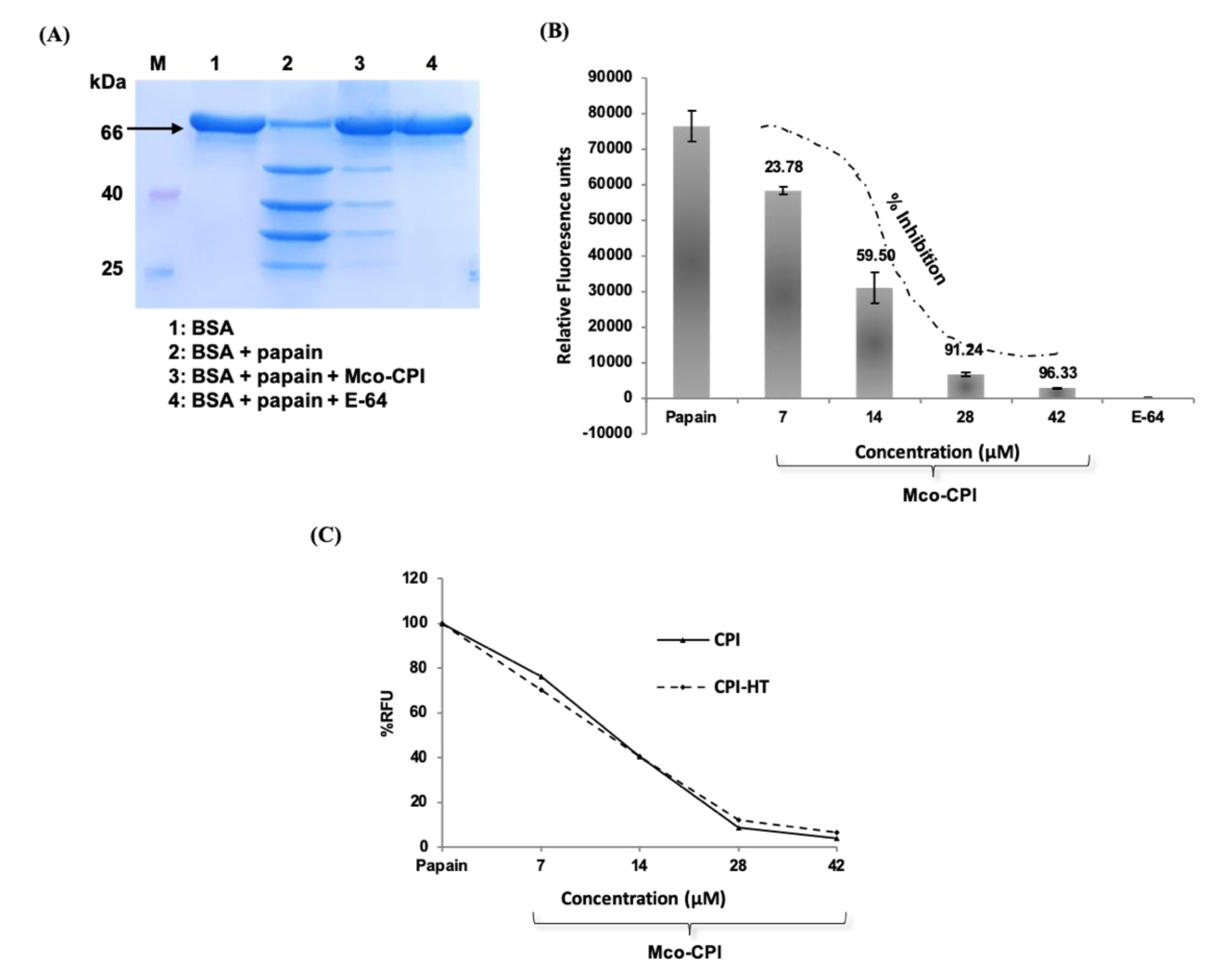 Pharmaceuticals 14 00007 g004