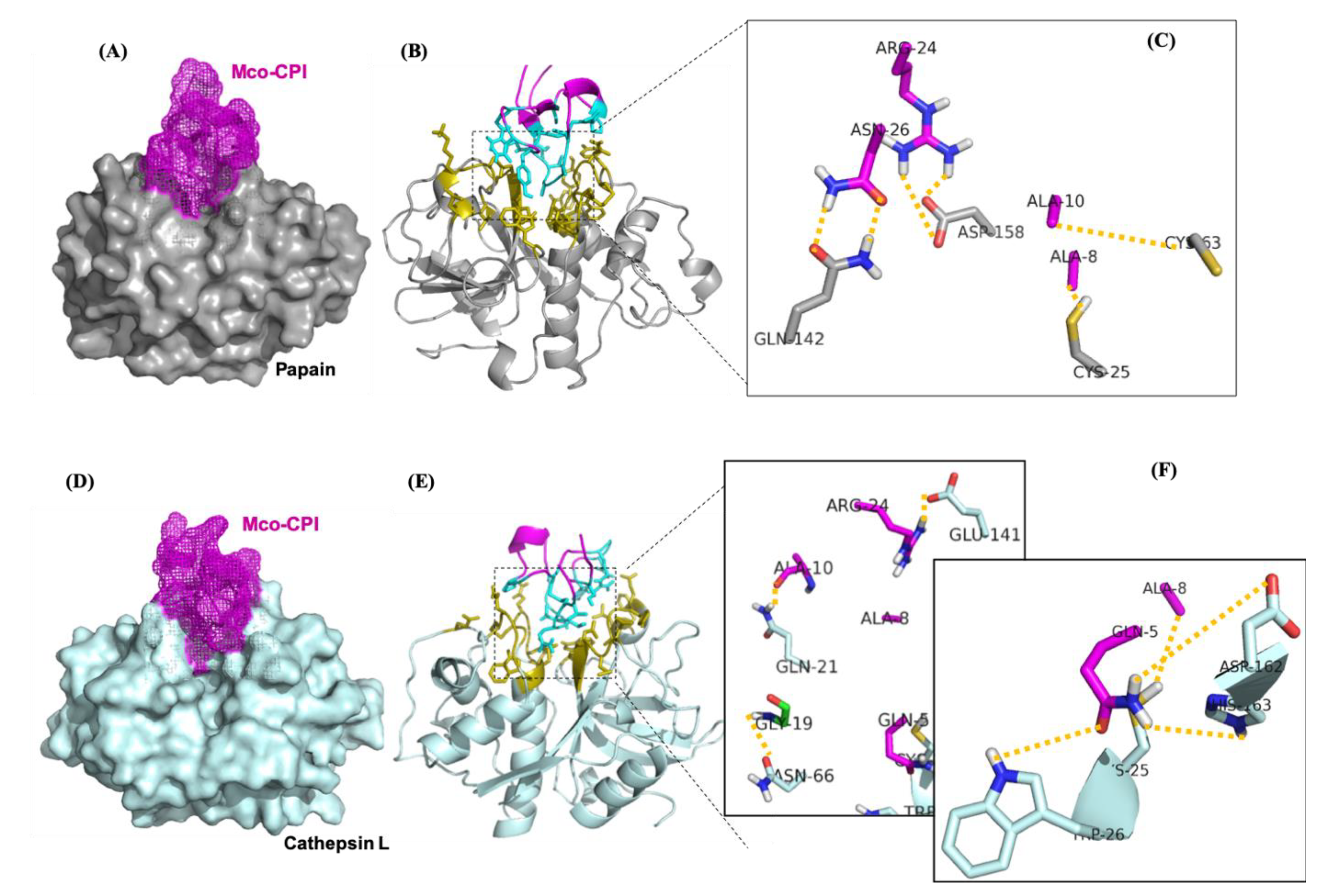 Pharmaceuticals 14 00007 g005