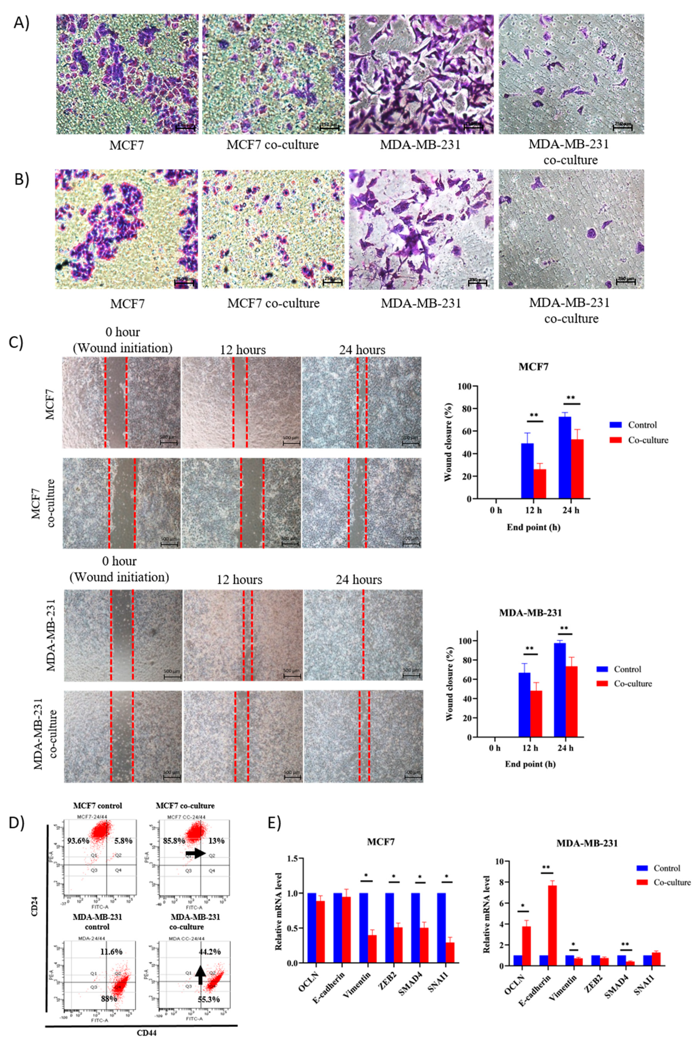Pharmaceuticals 14 00008 g002 Pharmaceuticals 14 00008 g002