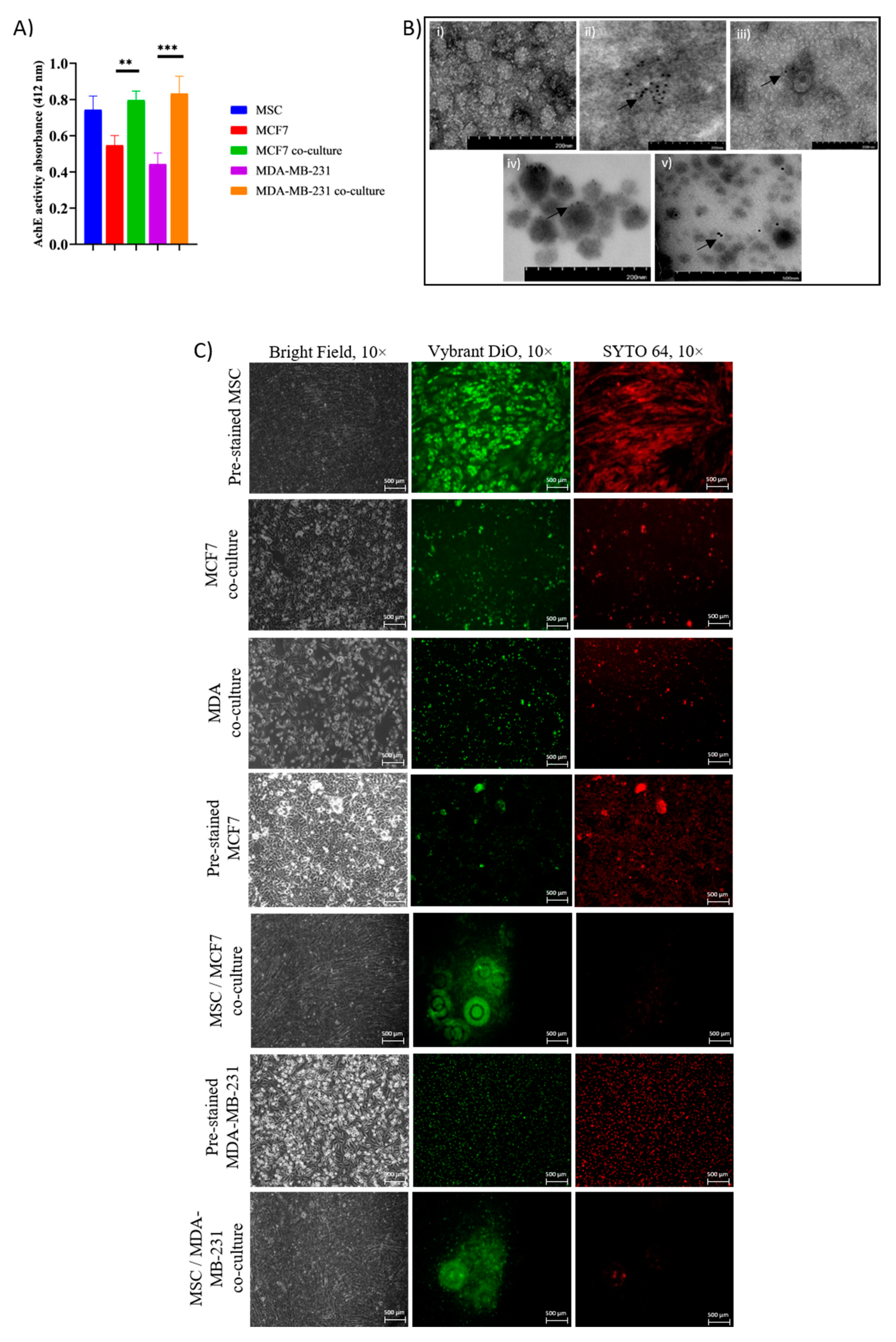 Pharmaceuticals 14 00008 g003 Pharmaceuticals 14 00008 g003