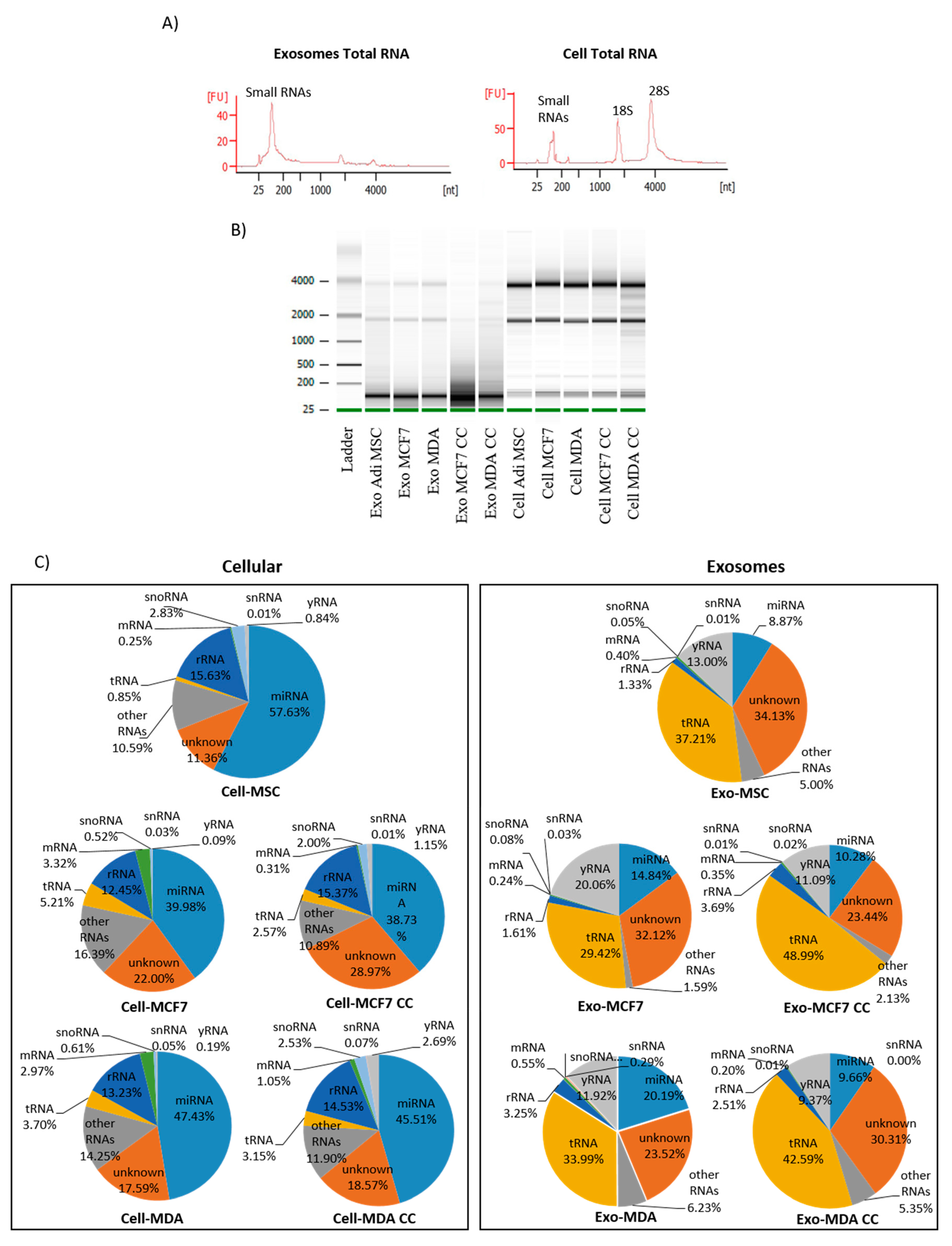 Pharmaceuticals 14 00008 g005 Pharmaceuticals 14 00008 g005