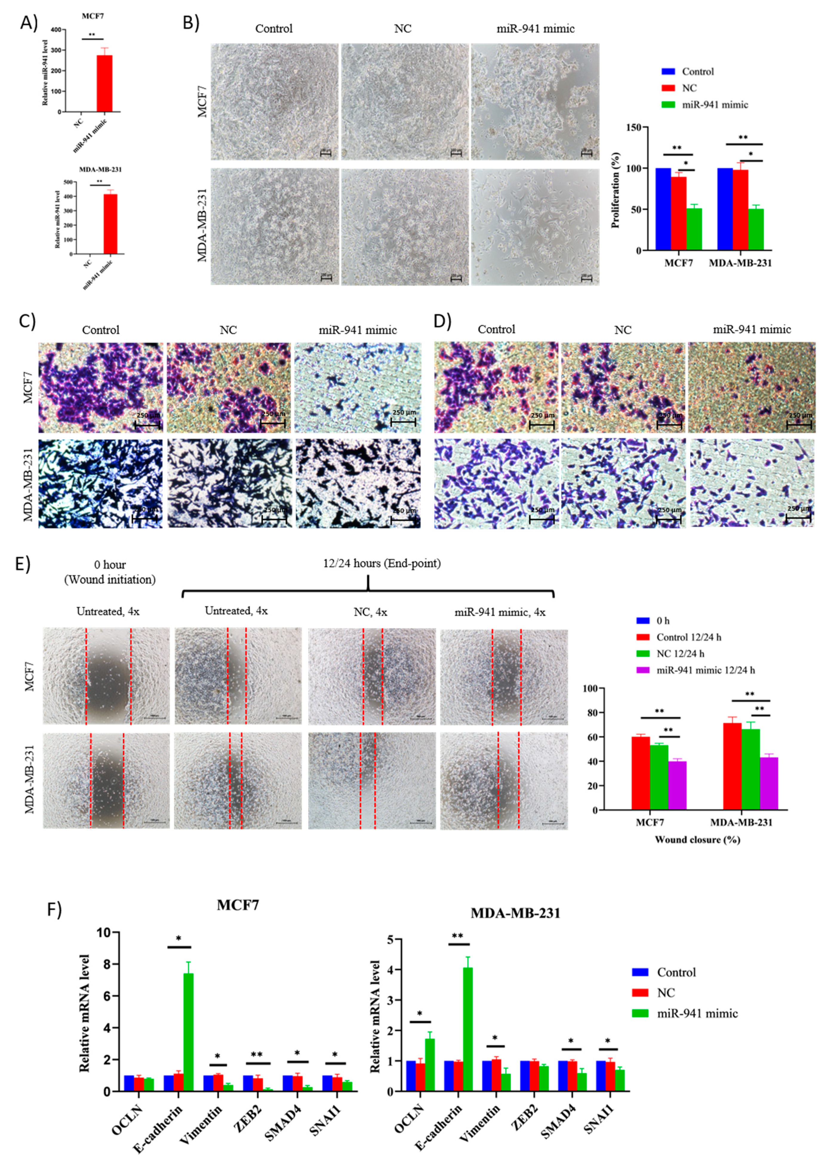 Pharmaceuticals 14 00008 g008 Pharmaceuticals 14 00008 g008