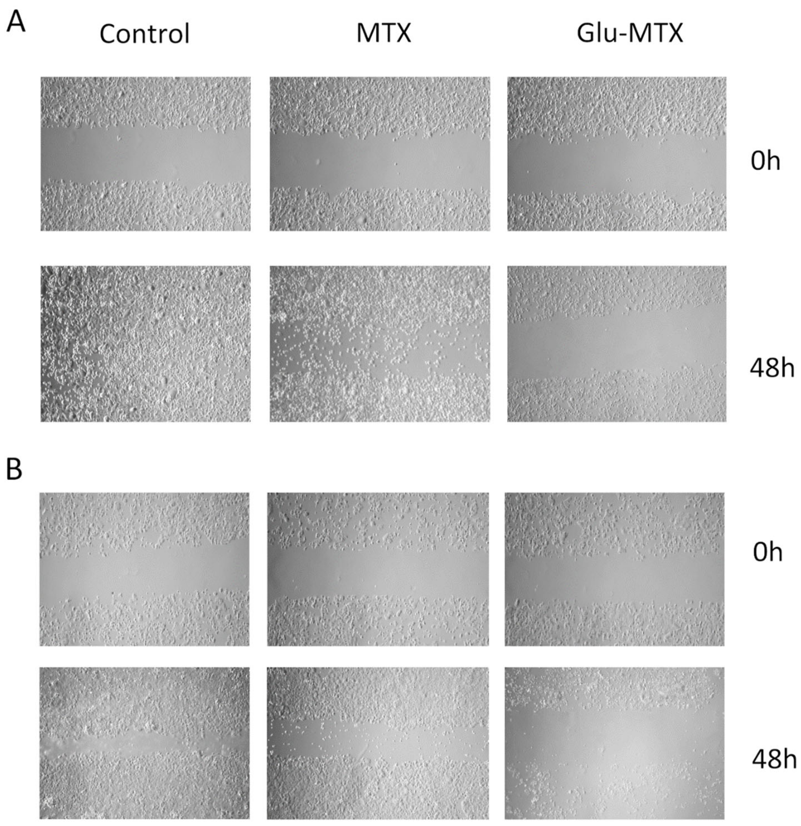 Pharmaceuticals 14 00013 g003 Pharmaceuticals 14 00013 g003