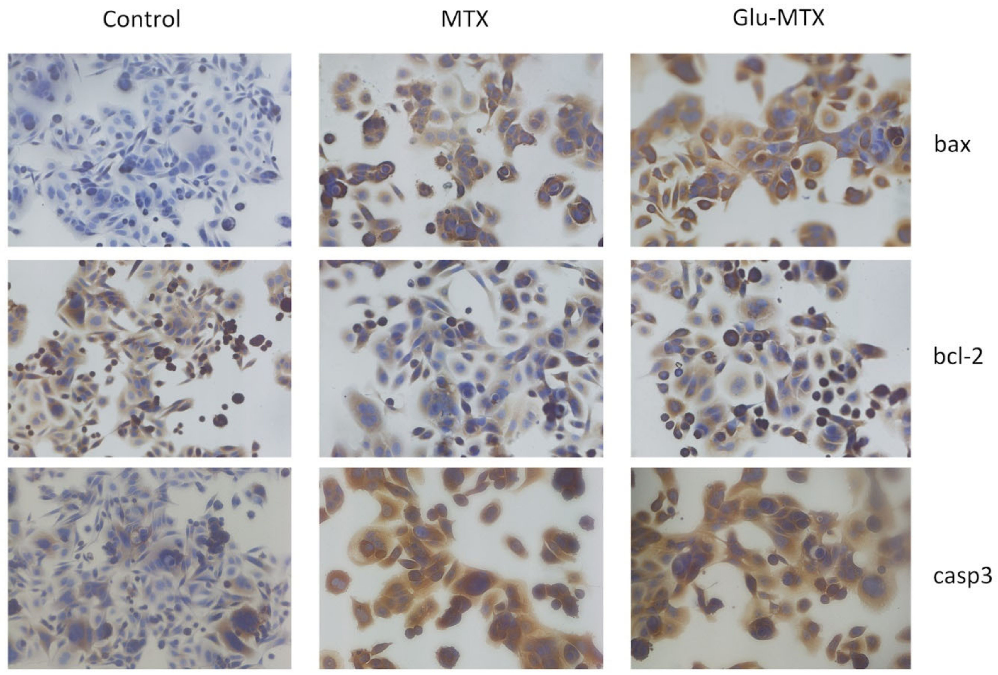 Pharmaceuticals 14 00013 g004 Pharmaceuticals 14 00013 g004
