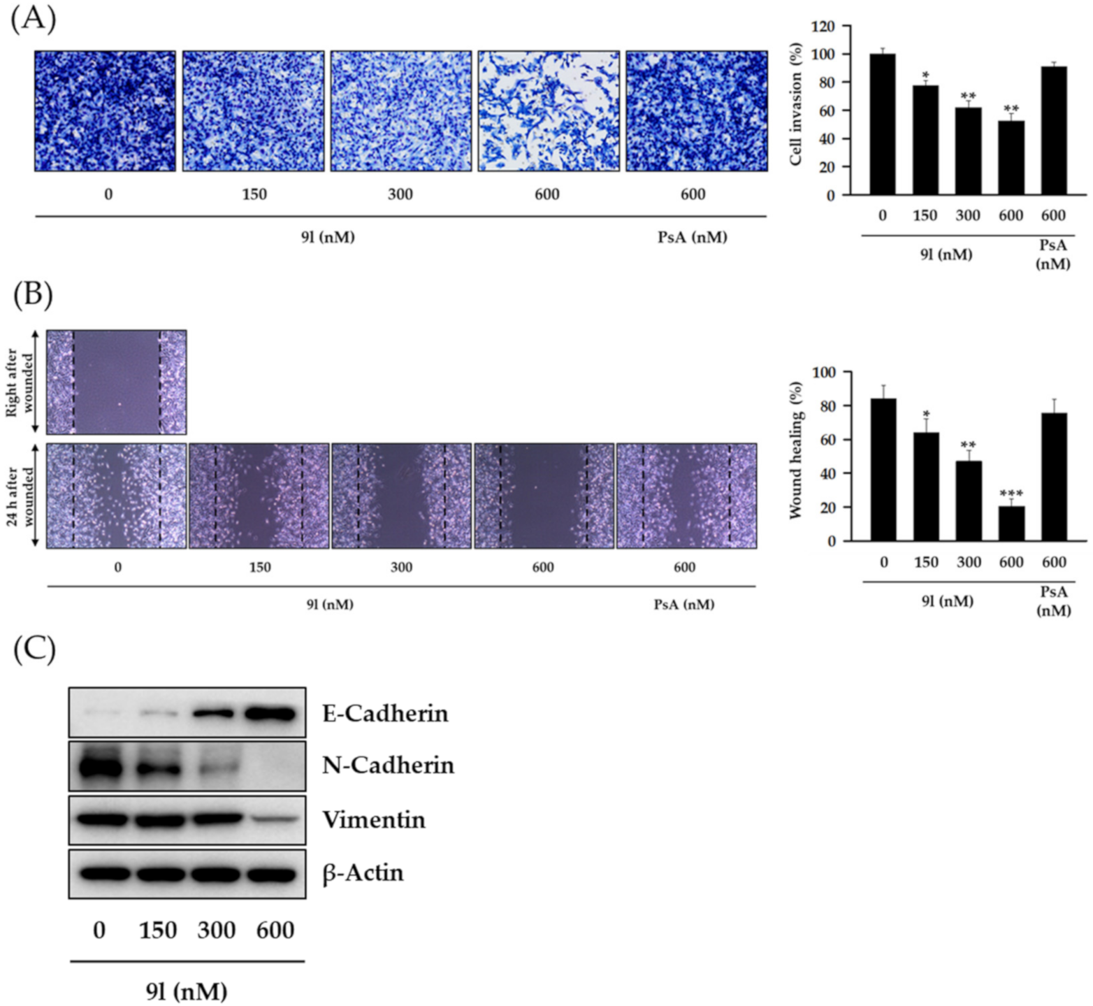 Pharmaceuticals 14 00018 g006