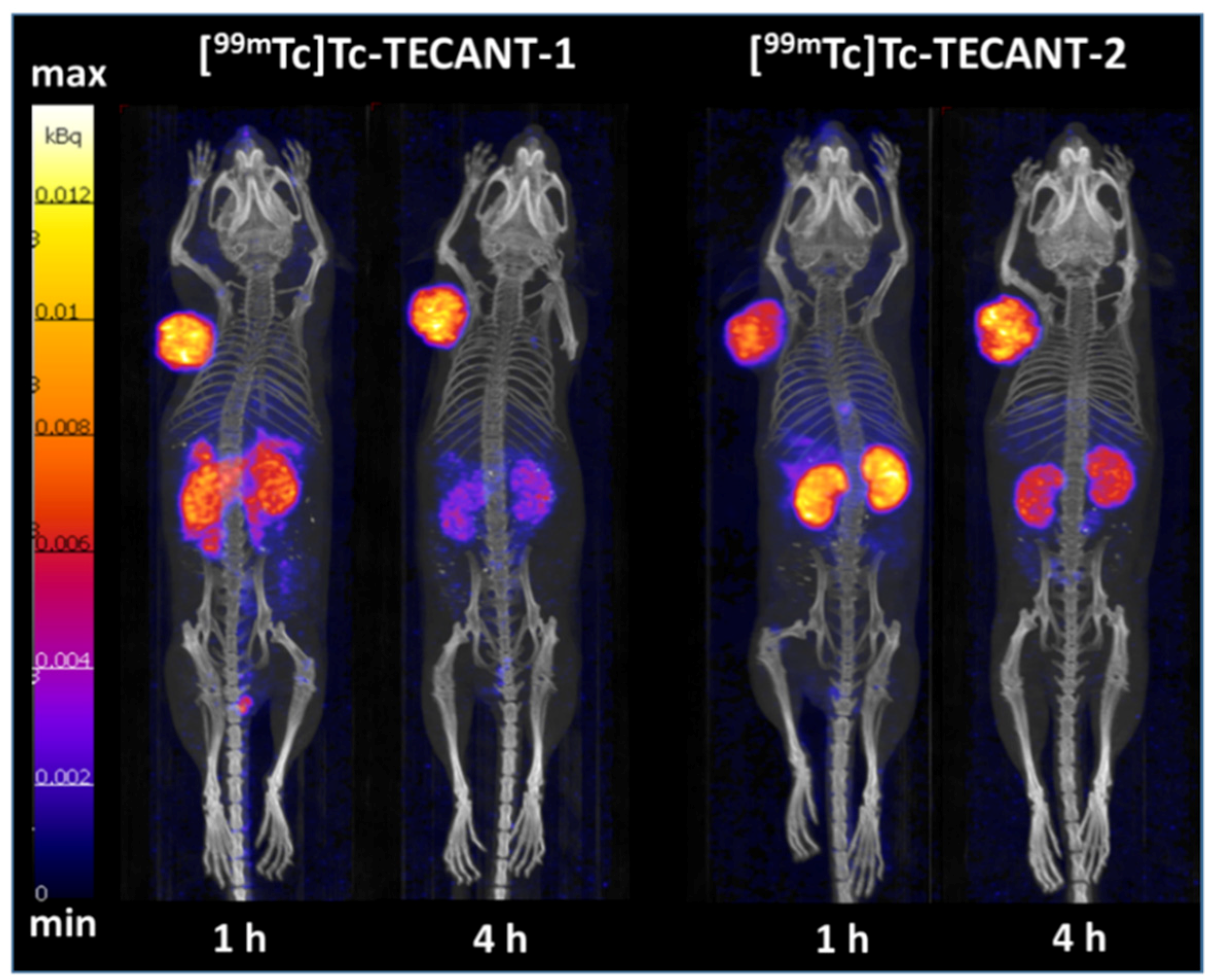 Pharmaceuticals 14 00019 g004
