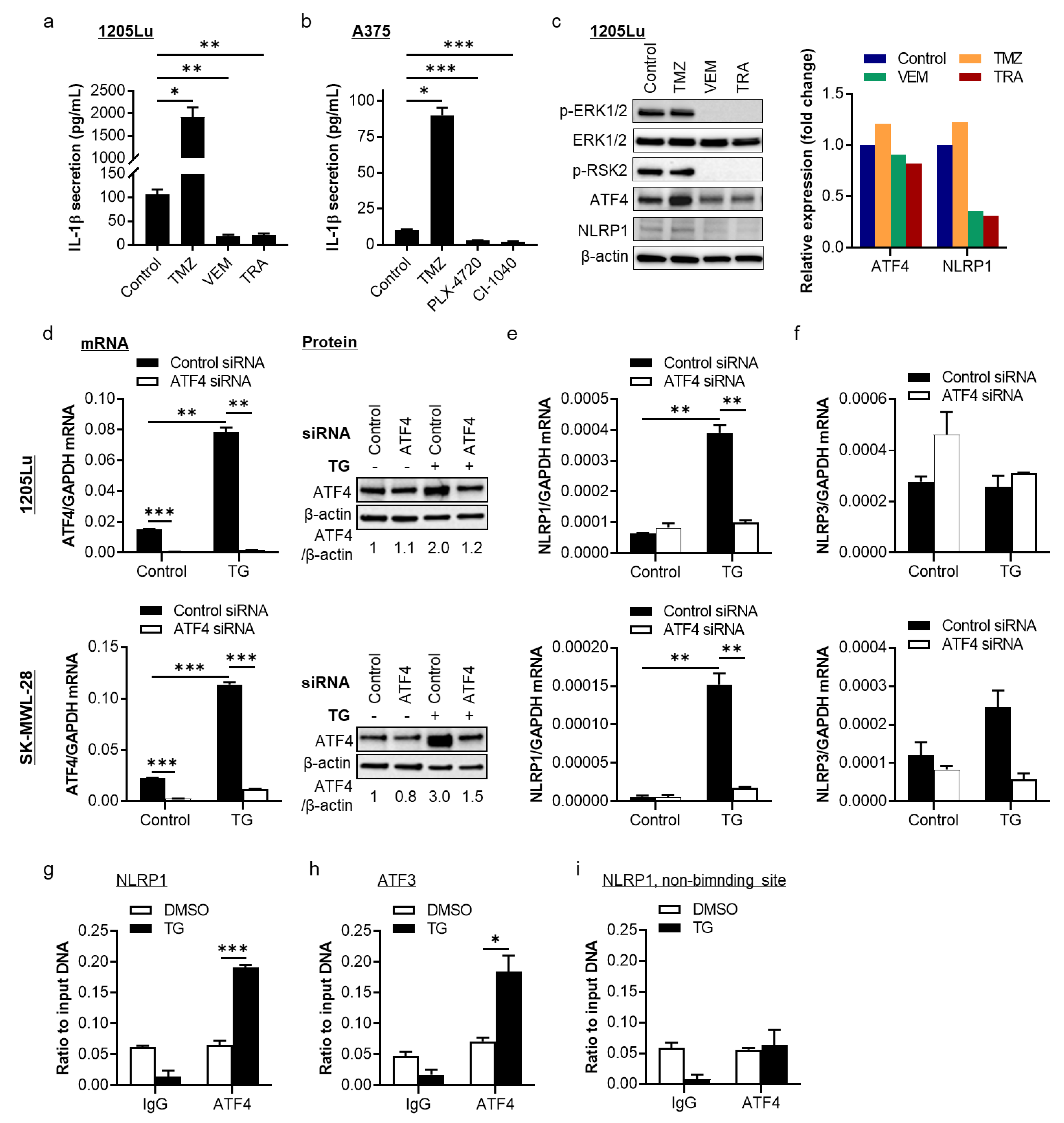 Pharmaceuticals 14 00023 g001