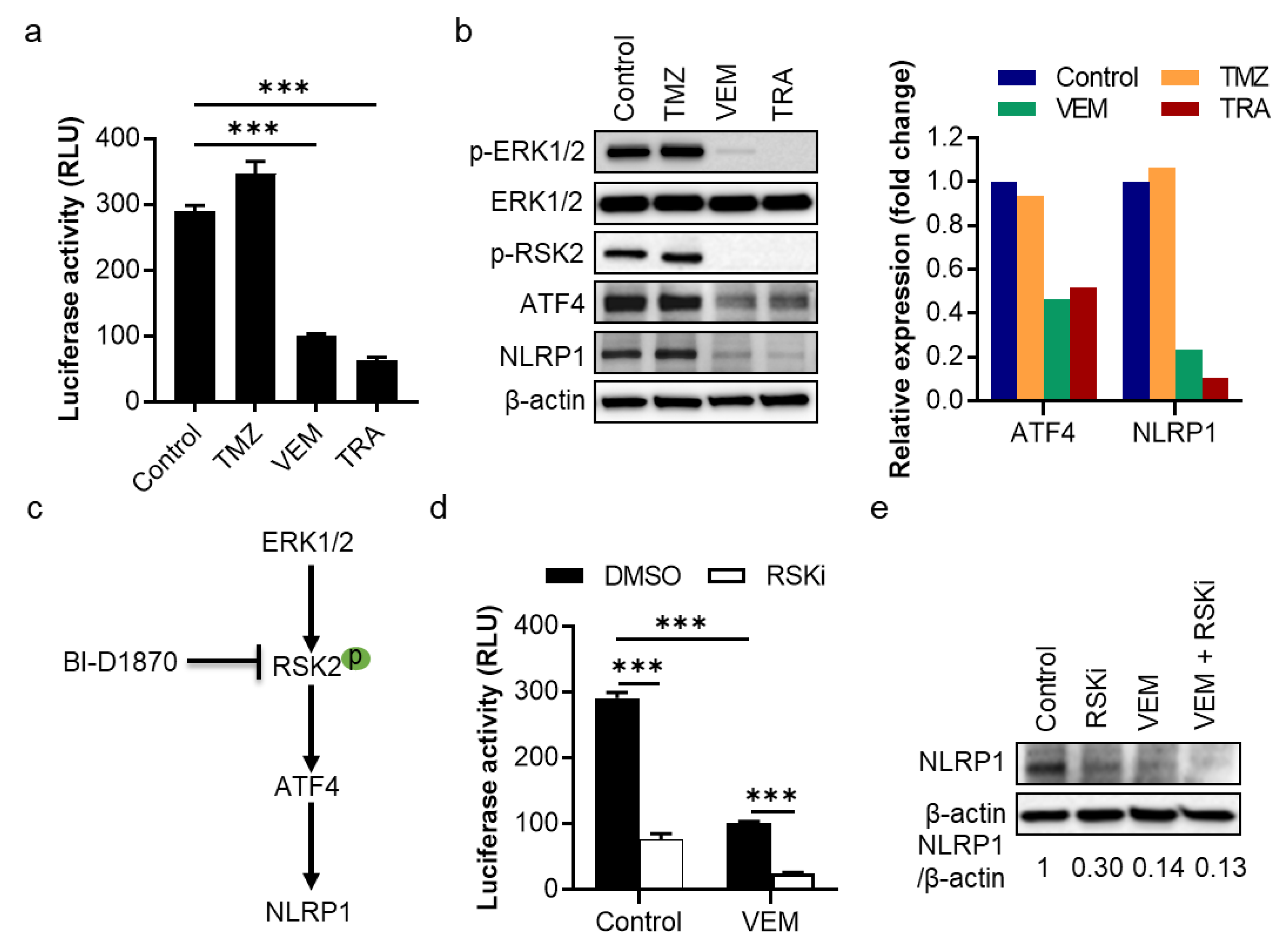 Pharmaceuticals 14 00023 g002