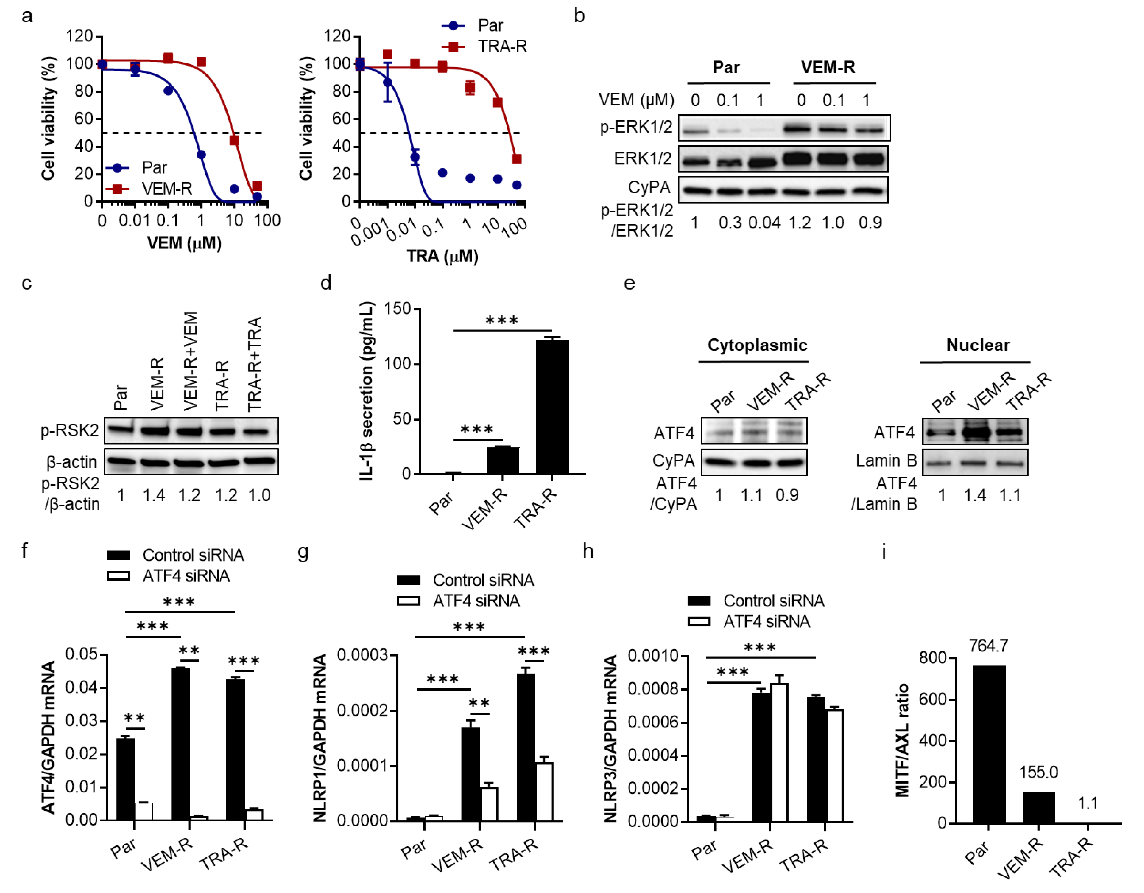 Pharmaceuticals 14 00023 g003