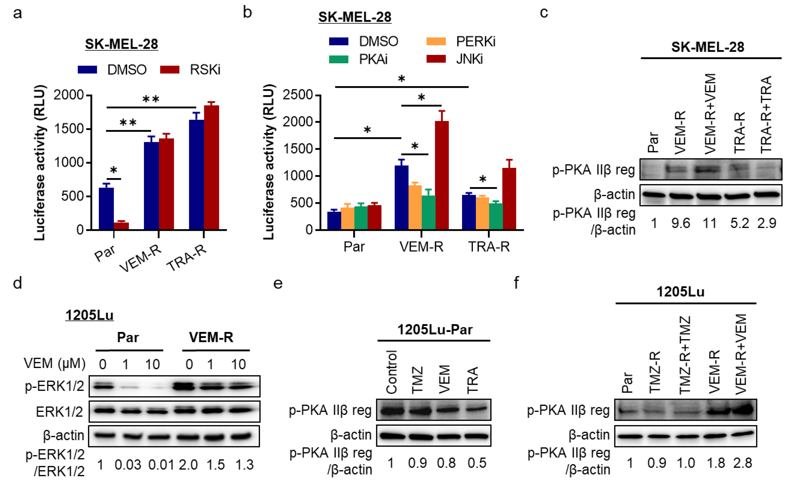 Pharmaceuticals 14 00023 g004