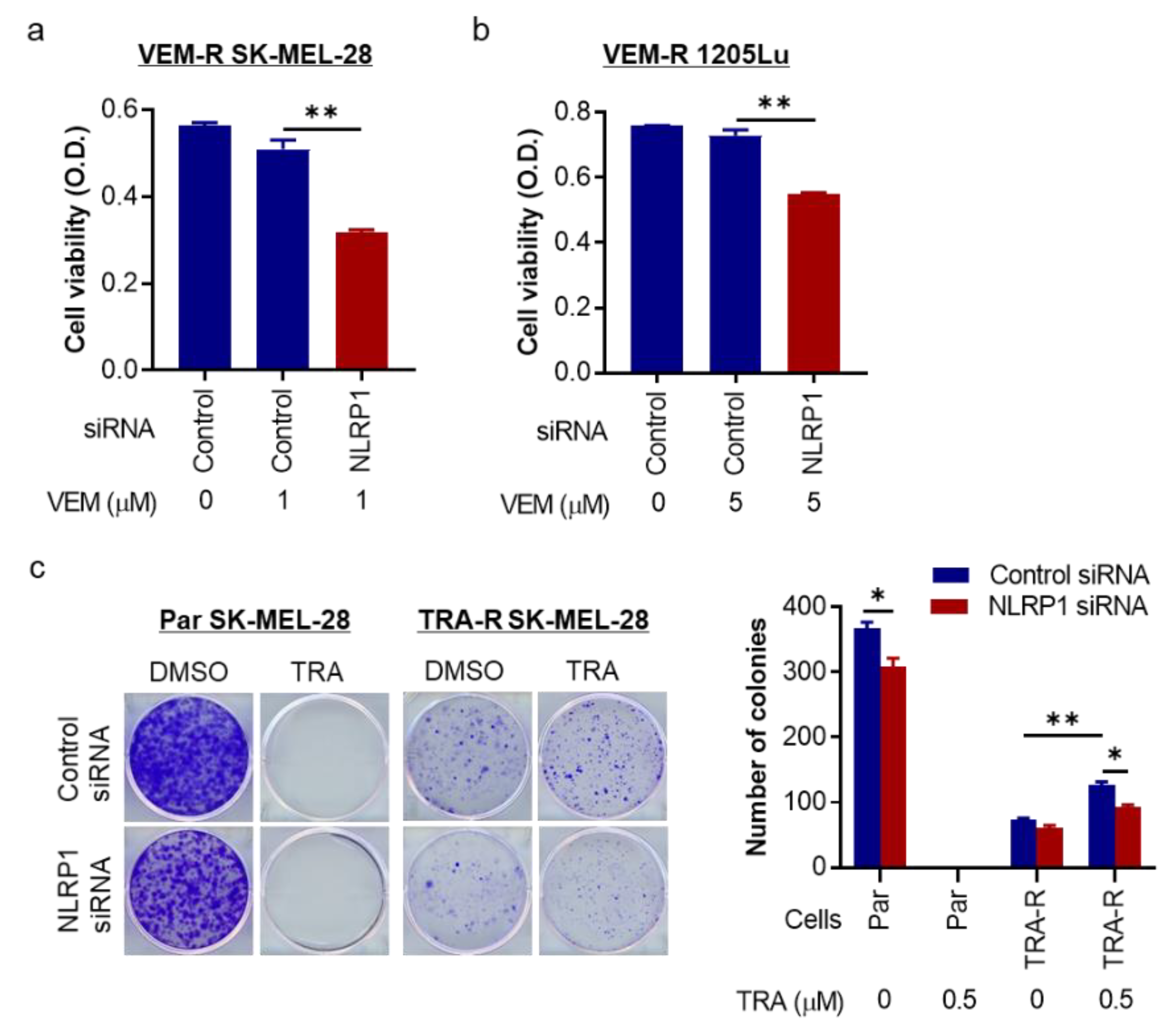 Pharmaceuticals 14 00023 g005