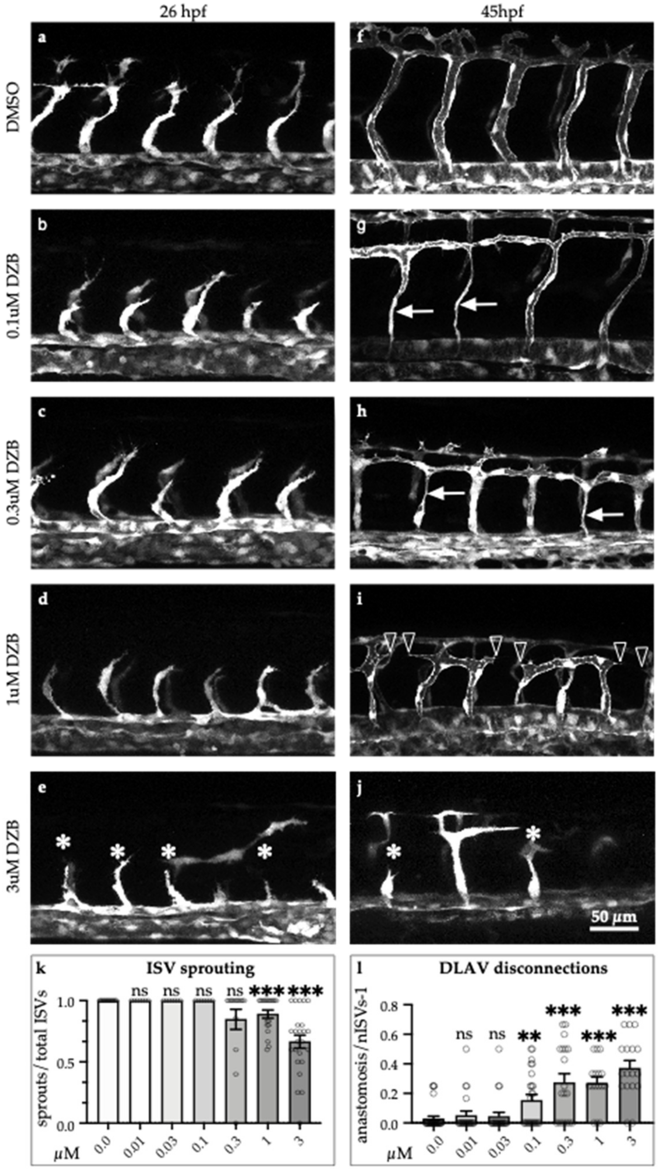 Pharmaceuticals 14 00025 g001 Pharmaceuticals 14 00025 g001