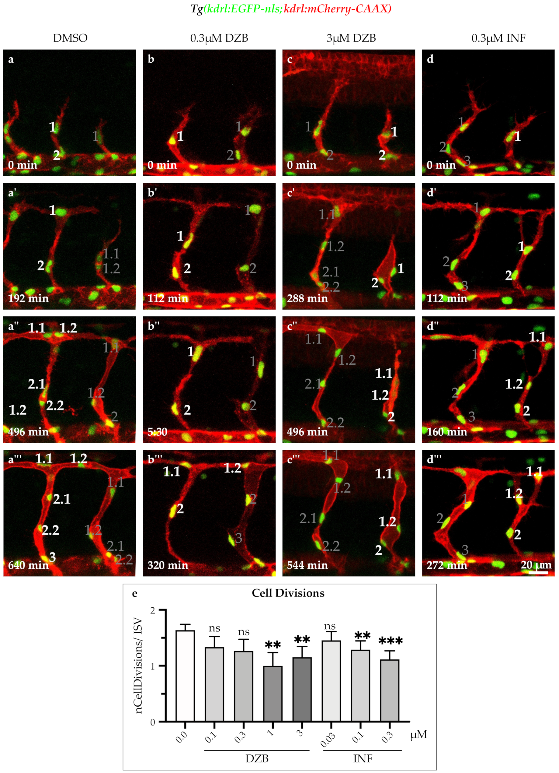 Pharmaceuticals 14 00025 g005 Pharmaceuticals 14 00025 g005